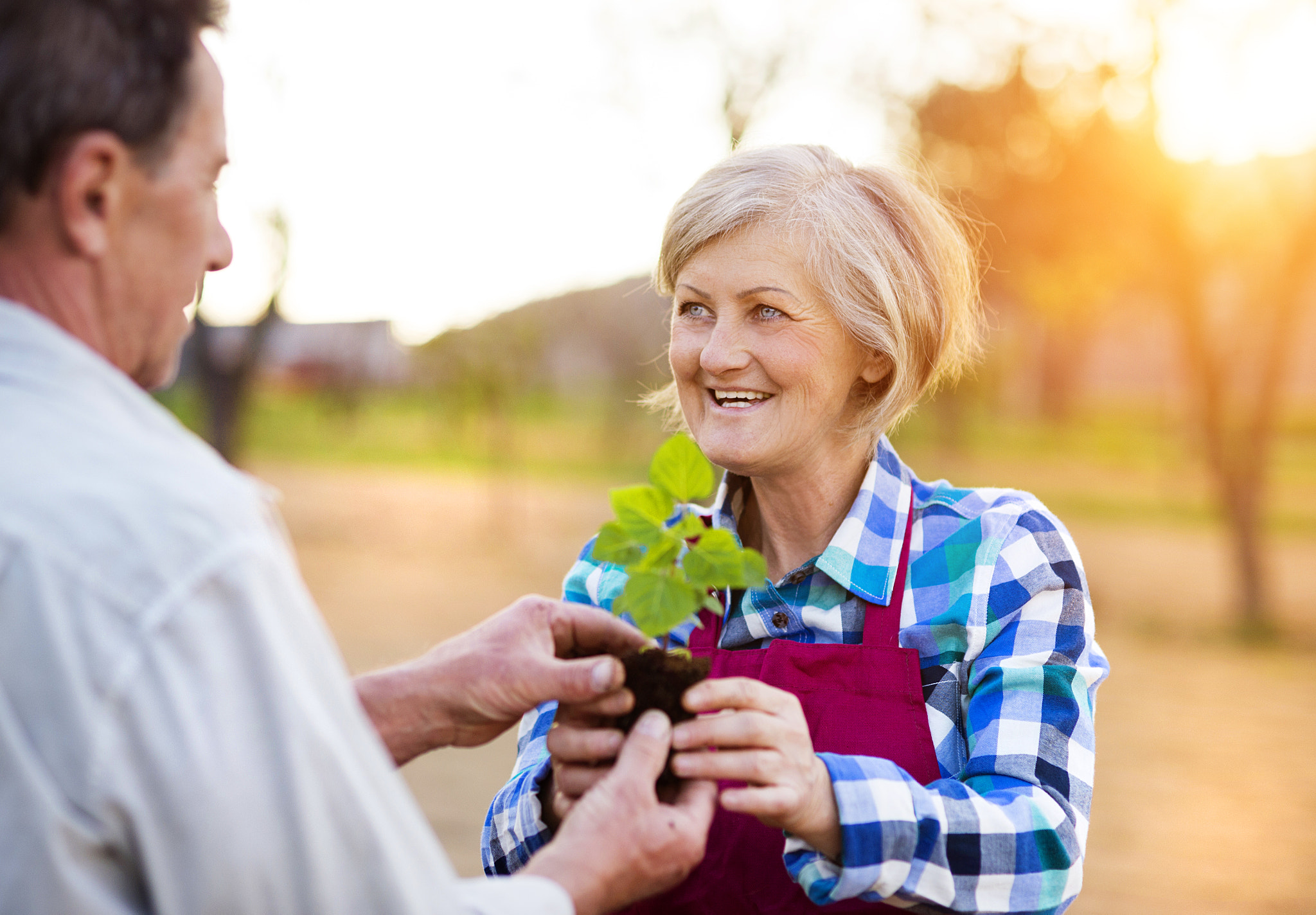Nikon D4S + Nikon AF Nikkor 85mm F1.8D sample photo. Senior couple planting seedlings photography
