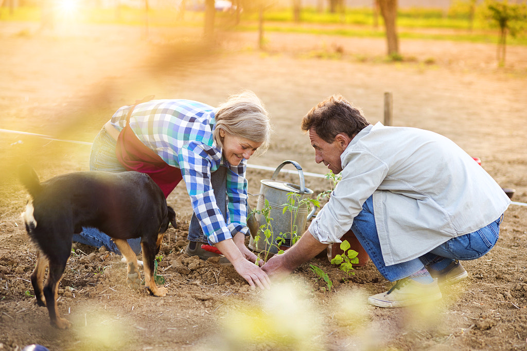 Senior couple planting seedlings by Jozef Polc on 500px.com
