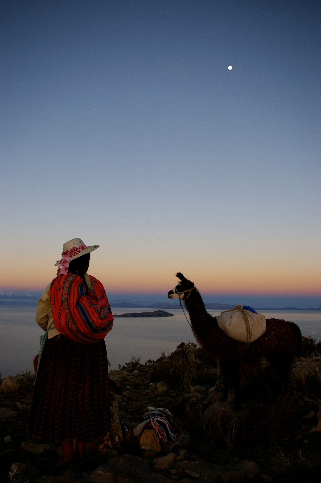 Pentax K110D sample photo. Cholita y su llama photography