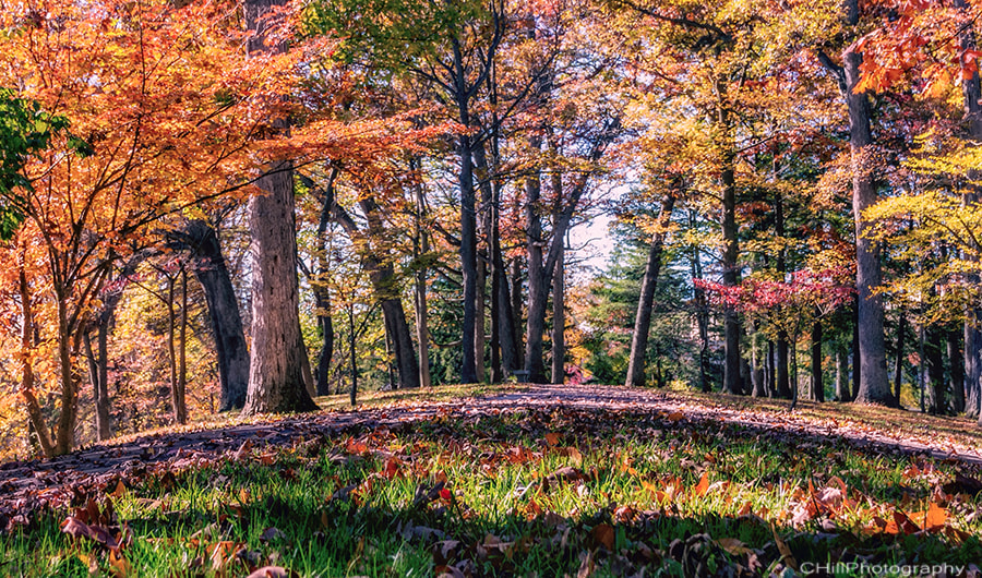 Sigma 18-250mm F3.5-6.3 DC OS HSM sample photo. Hill photography