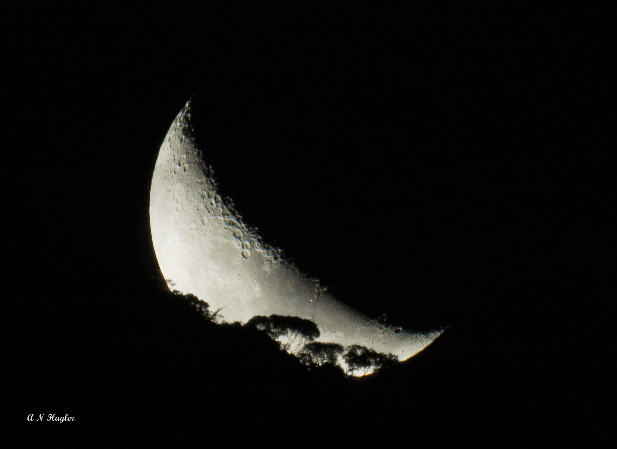 Sony SLT-A77 + Sony 500mm F8 Reflex sample photo. Crescent moonset atlantic forest photography