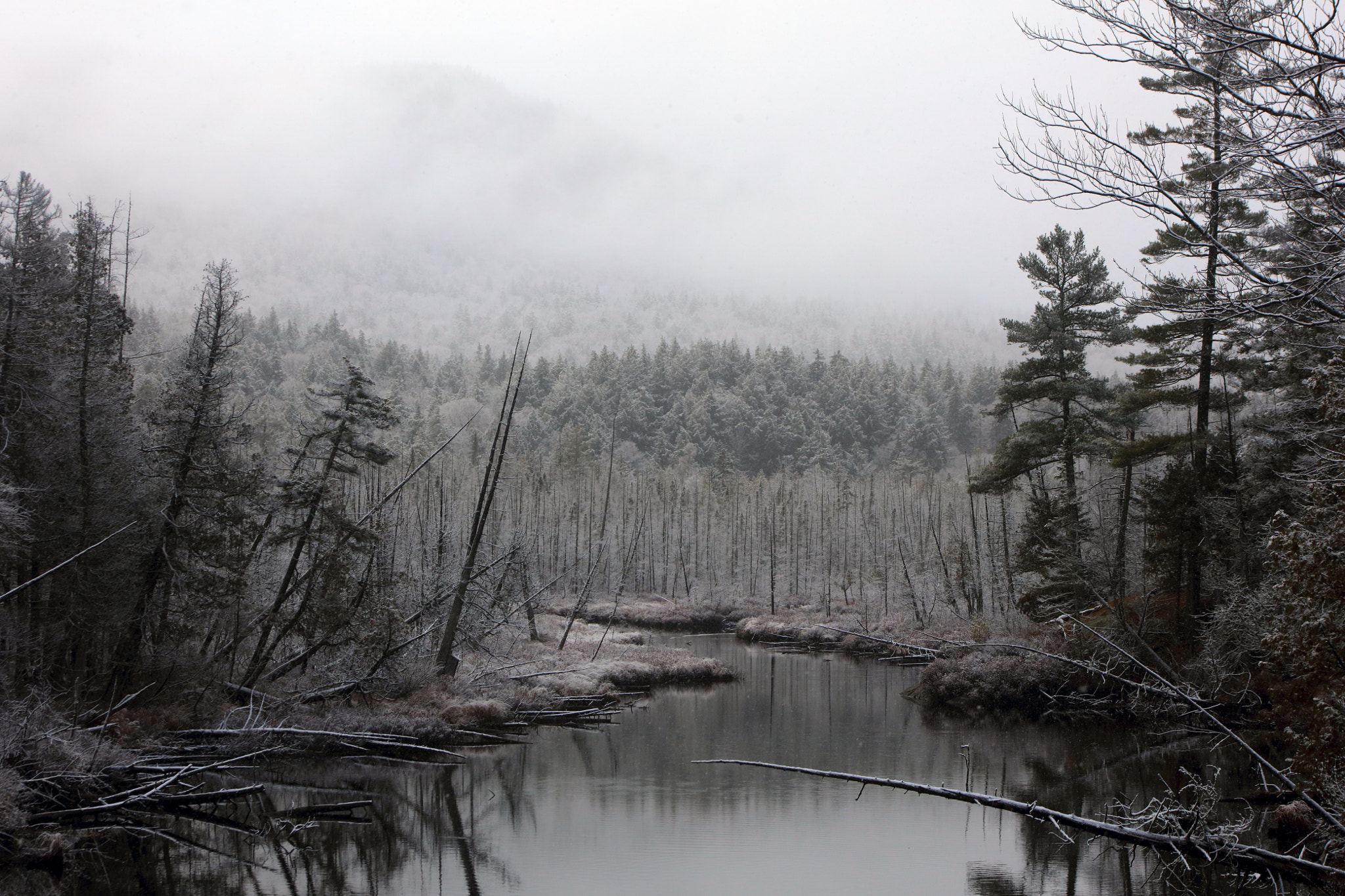 Canon EOS 5DS R + EF75-300mm f/4-5.6 sample photo. South creek photography