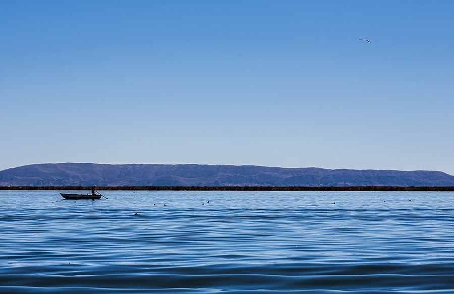 Canon EOS 5D + Canon EF 100mm F2.8 Macro USM sample photo. Lago titicaca photography