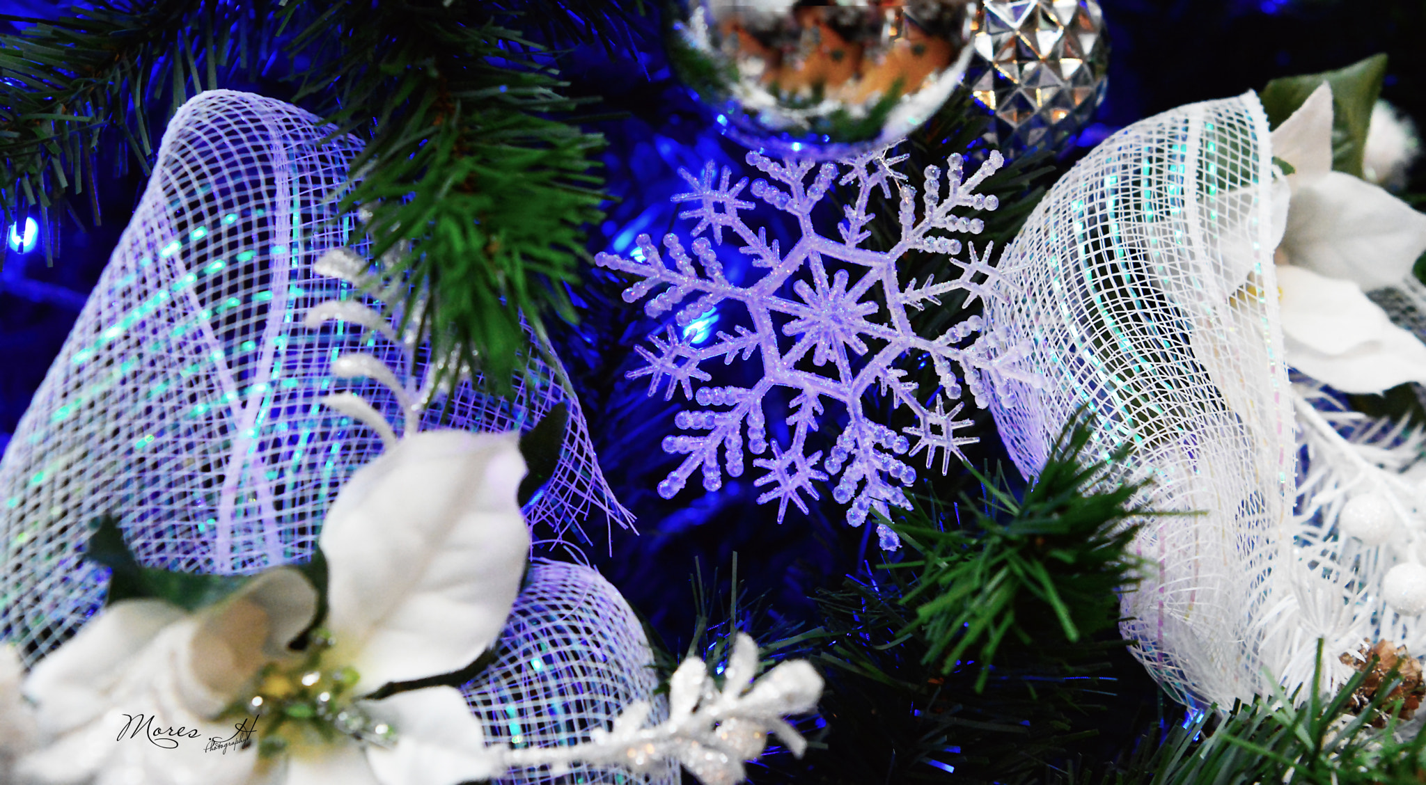 Nikon AF-S Nikkor 24-70mm F2.8E ED VR sample photo. Merry christmas photography