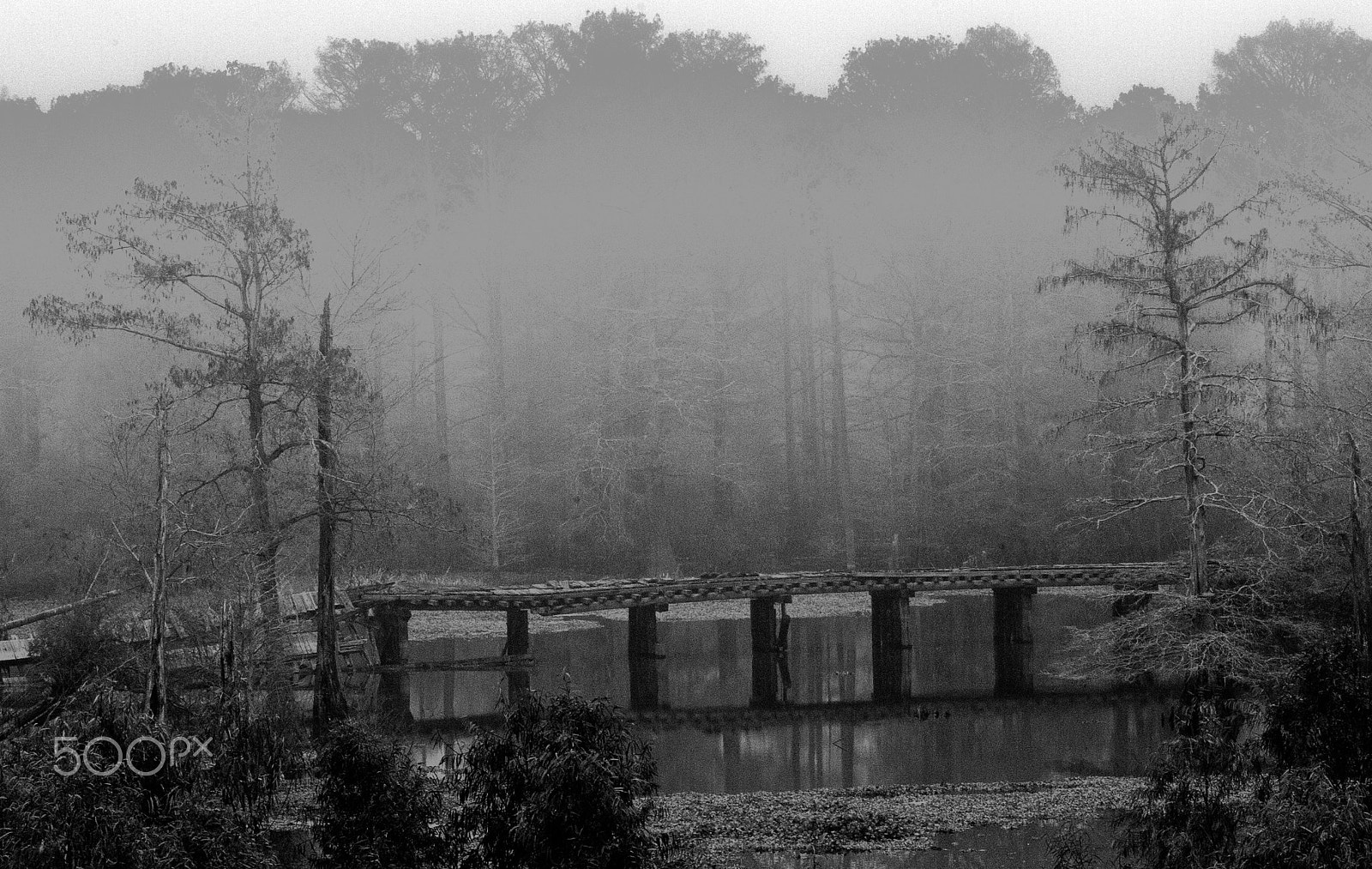 Canon EOS-1D Mark II sample photo. Bridge decay photography