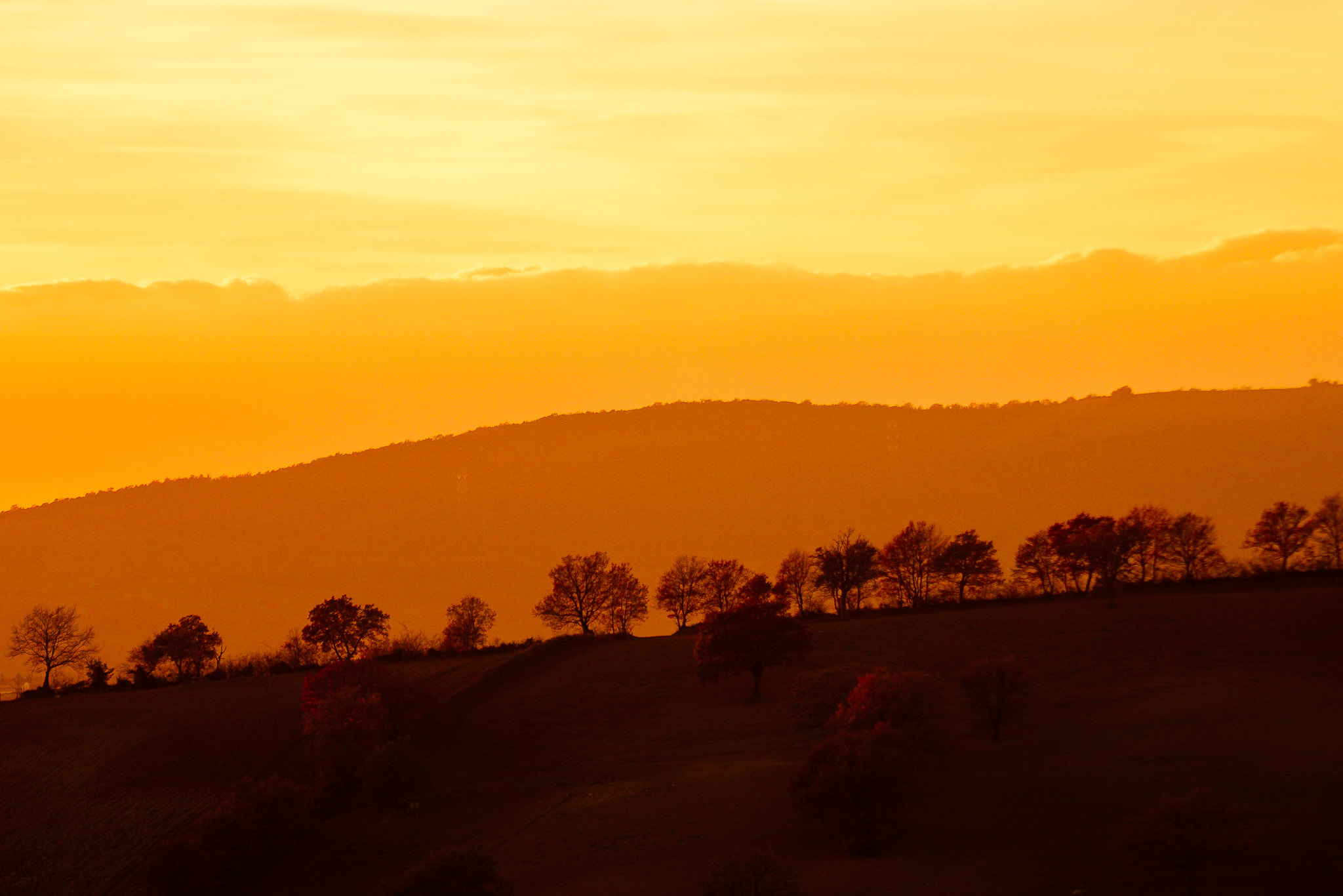 Sony ILCA-77M2 + 70-200mm F2.8 sample photo. December sunset sky in tuscany photography
