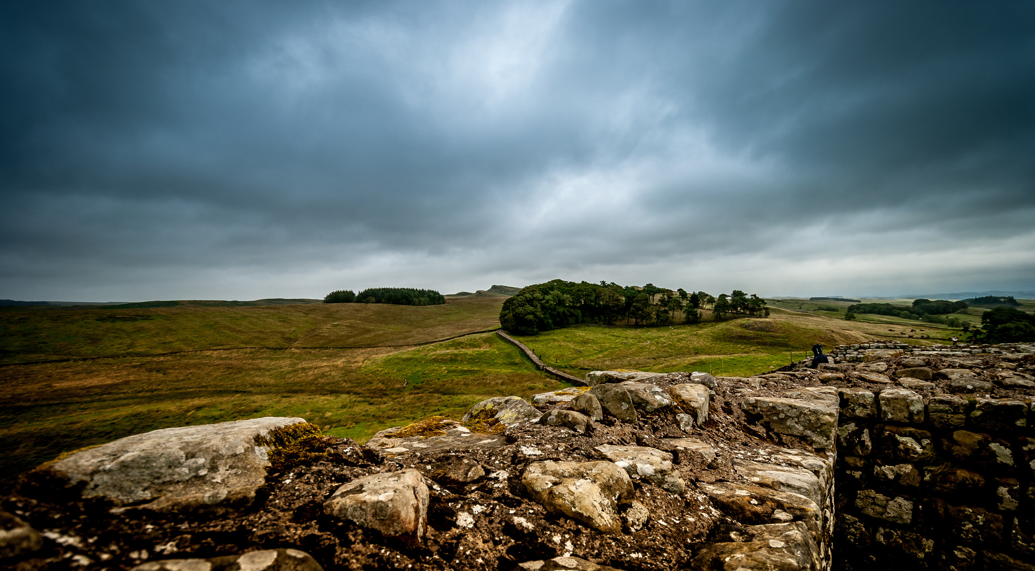 Nikon D80 sample photo. Hadrian's wall photography