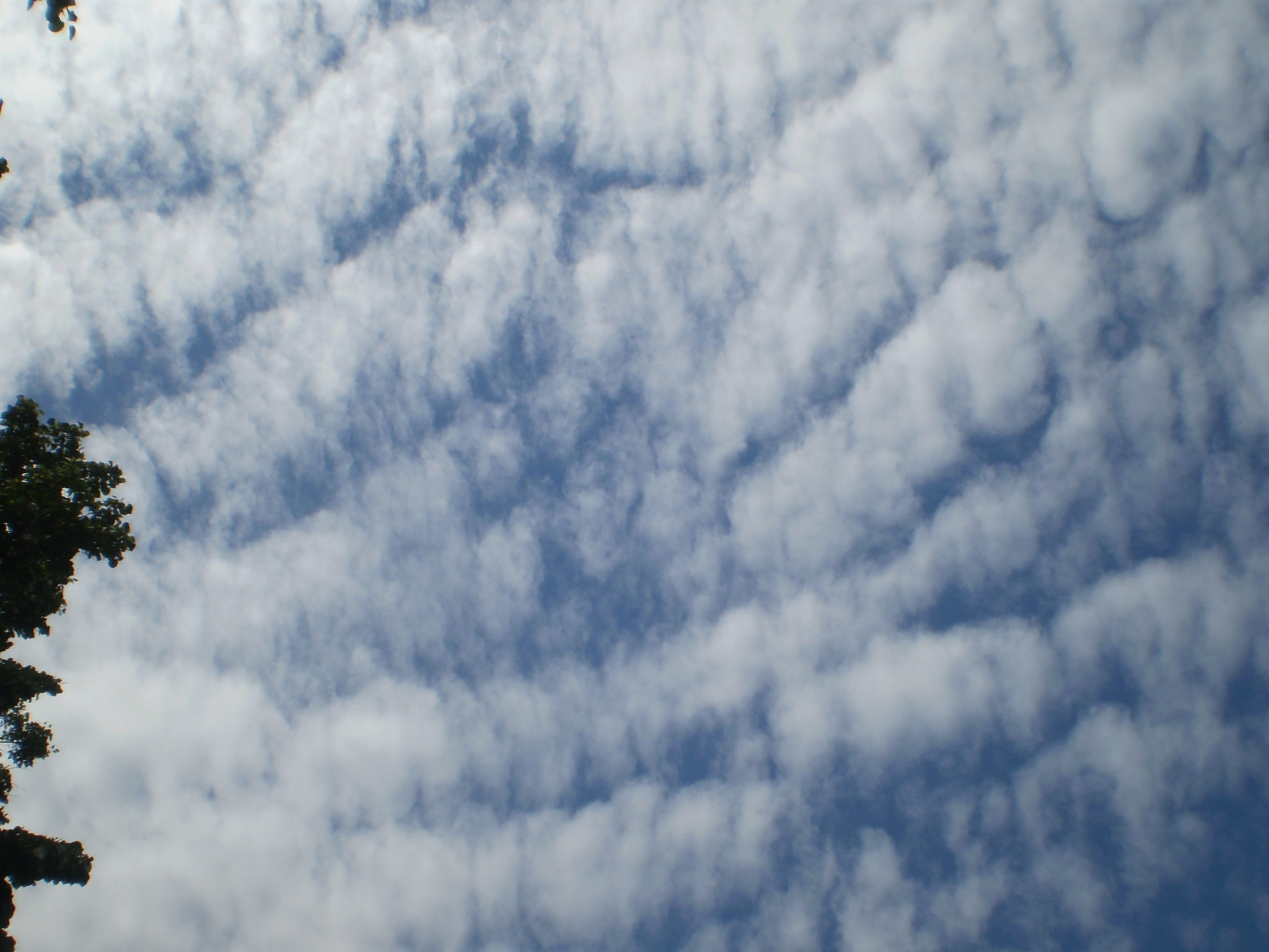 Olympus FE210,X775 sample photo. Clouds photography