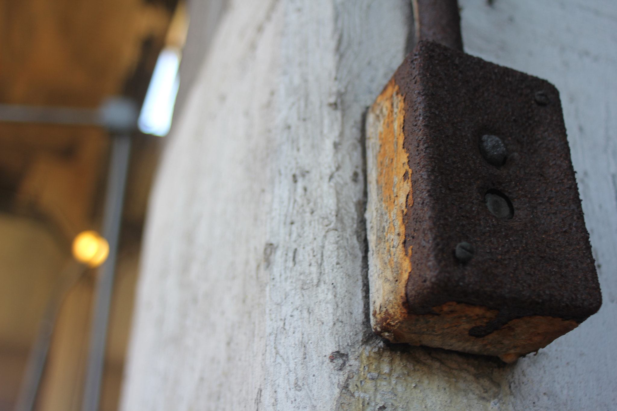 Canon EF 28-80mm f/3.5-5.6 sample photo. Savannah rail photography