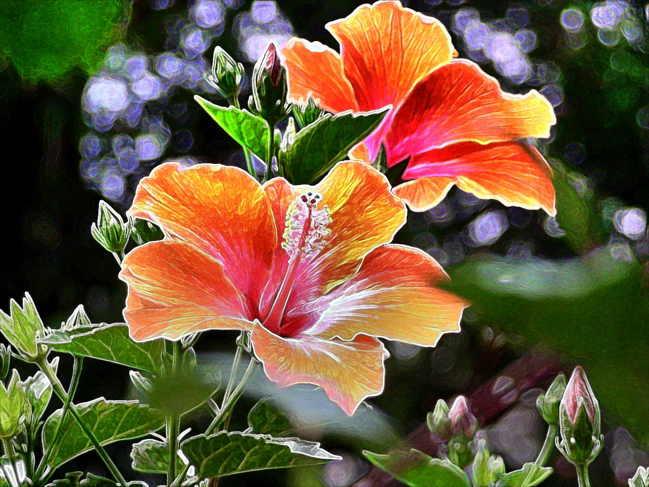 Olympus C730UZ sample photo. Nature's glory photography