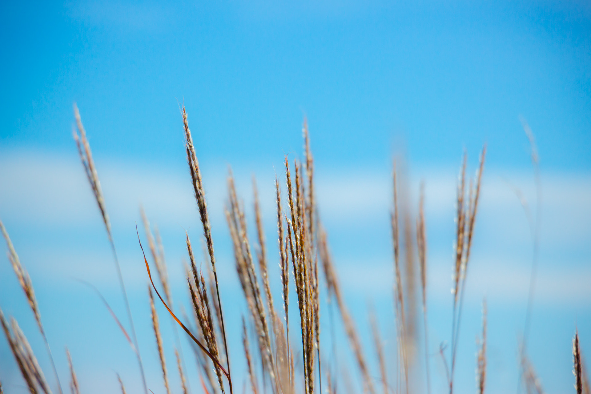 Canon EOS 700D (EOS Rebel T5i / EOS Kiss X7i) sample photo. C photography