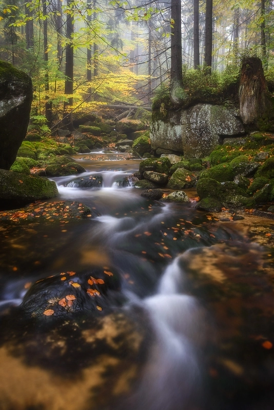 Nikon D800 + AF Zoom-Nikkor 28-70mm f/3.5-4.5D sample photo. Stream in jizera mountains photography