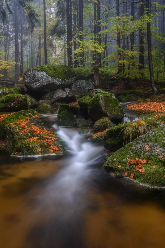 Nikon D800 + AF Zoom-Nikkor 28-70mm f/3.5-4.5D sample photo. Stream in jizera mountains photography