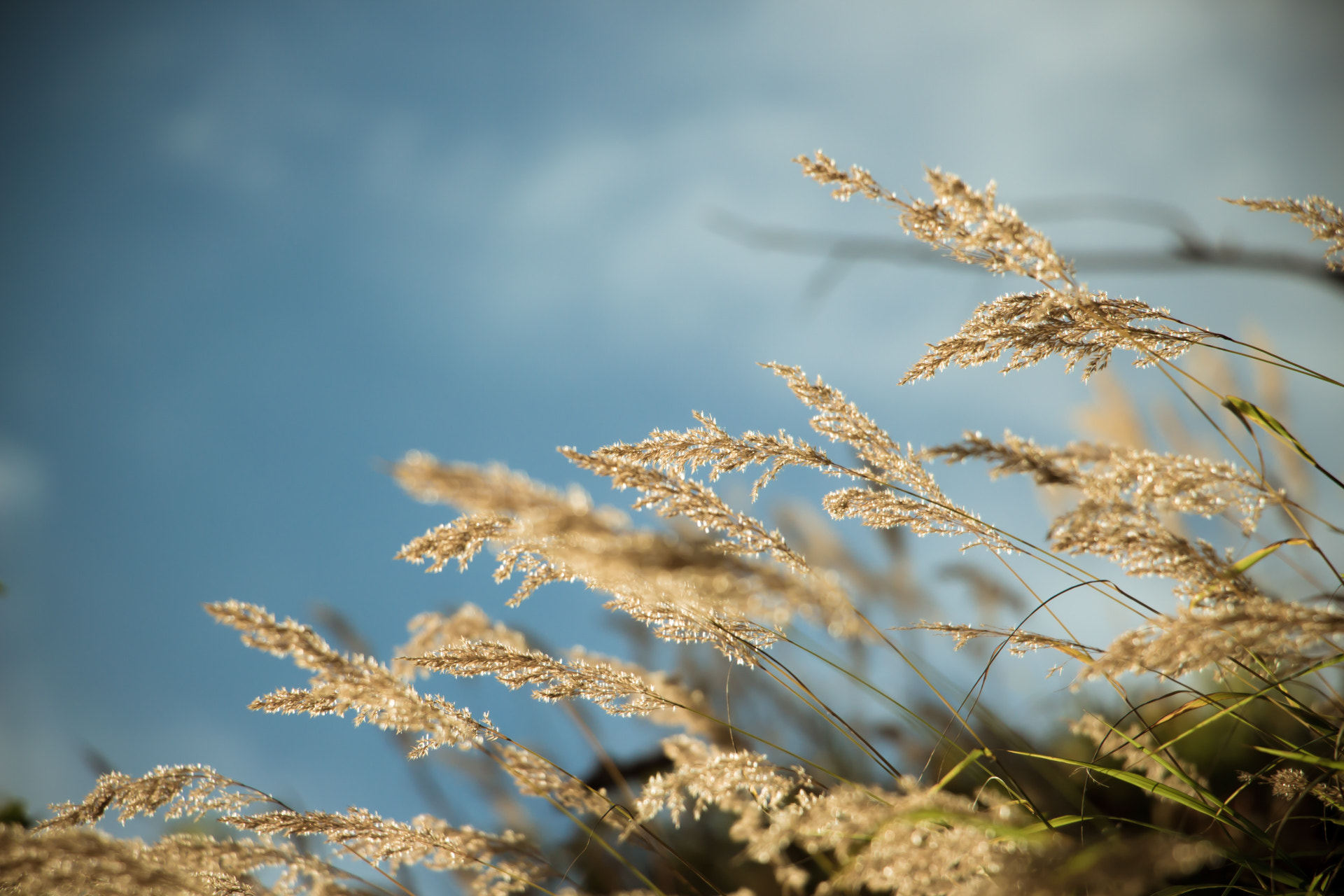 Canon EOS 700D (EOS Rebel T5i / EOS Kiss X7i) sample photo. G photography