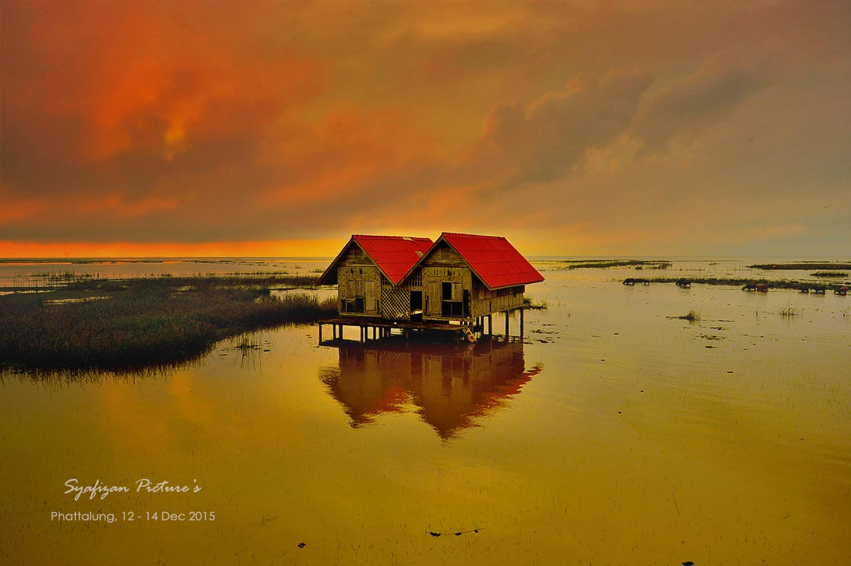 Nikon Df sample photo. Lonely twin house at the bridge photography