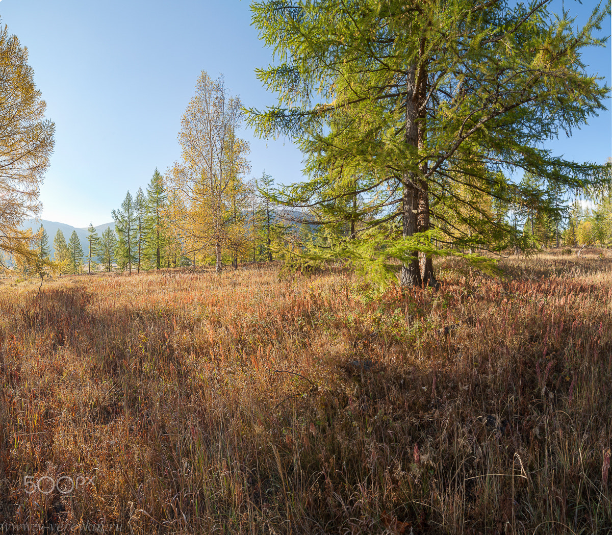 Sunrise in the mountains in autumn.