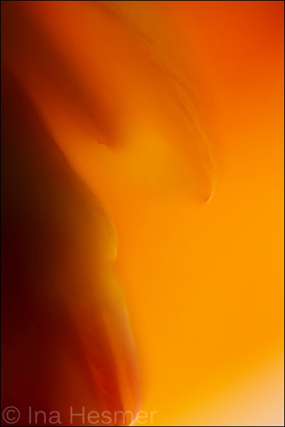 Tamron SP AF 90mm F2.8 Di Macro sample photo. Edge  photography