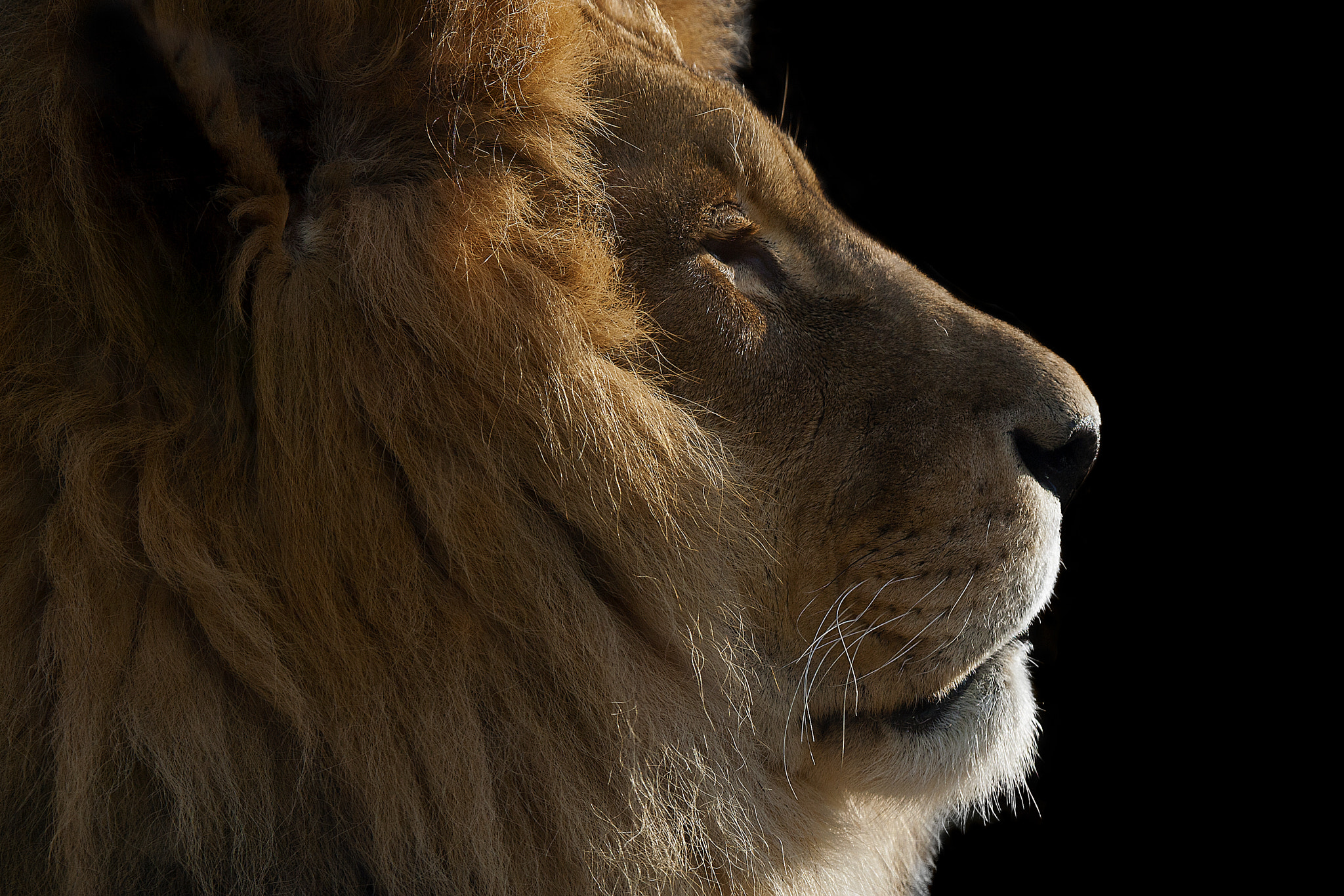 Canon EOS-1D Mark II N sample photo. Raw power photography