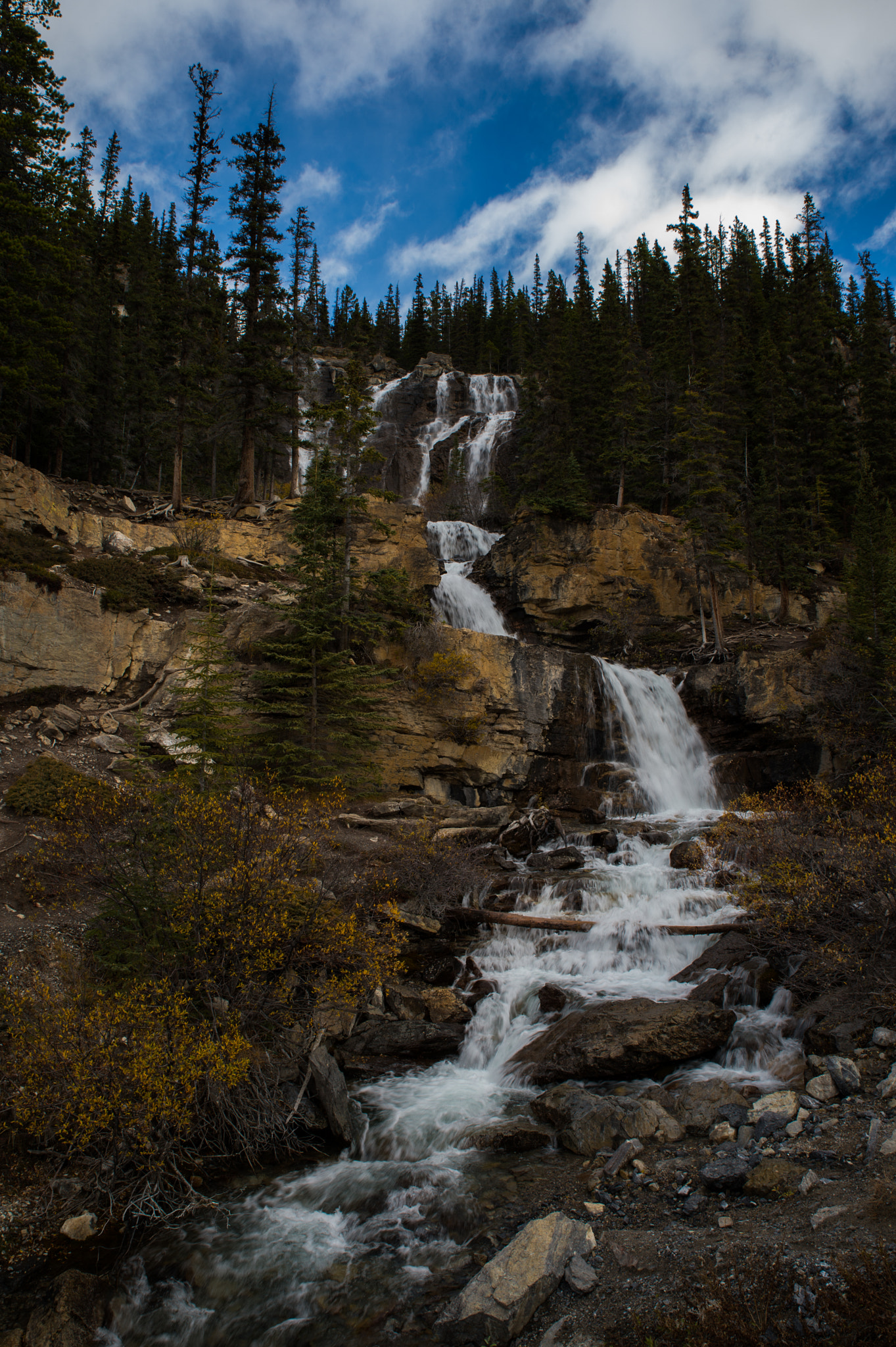 Nikon Df sample photo. Tangle falls, alberta, canada photography