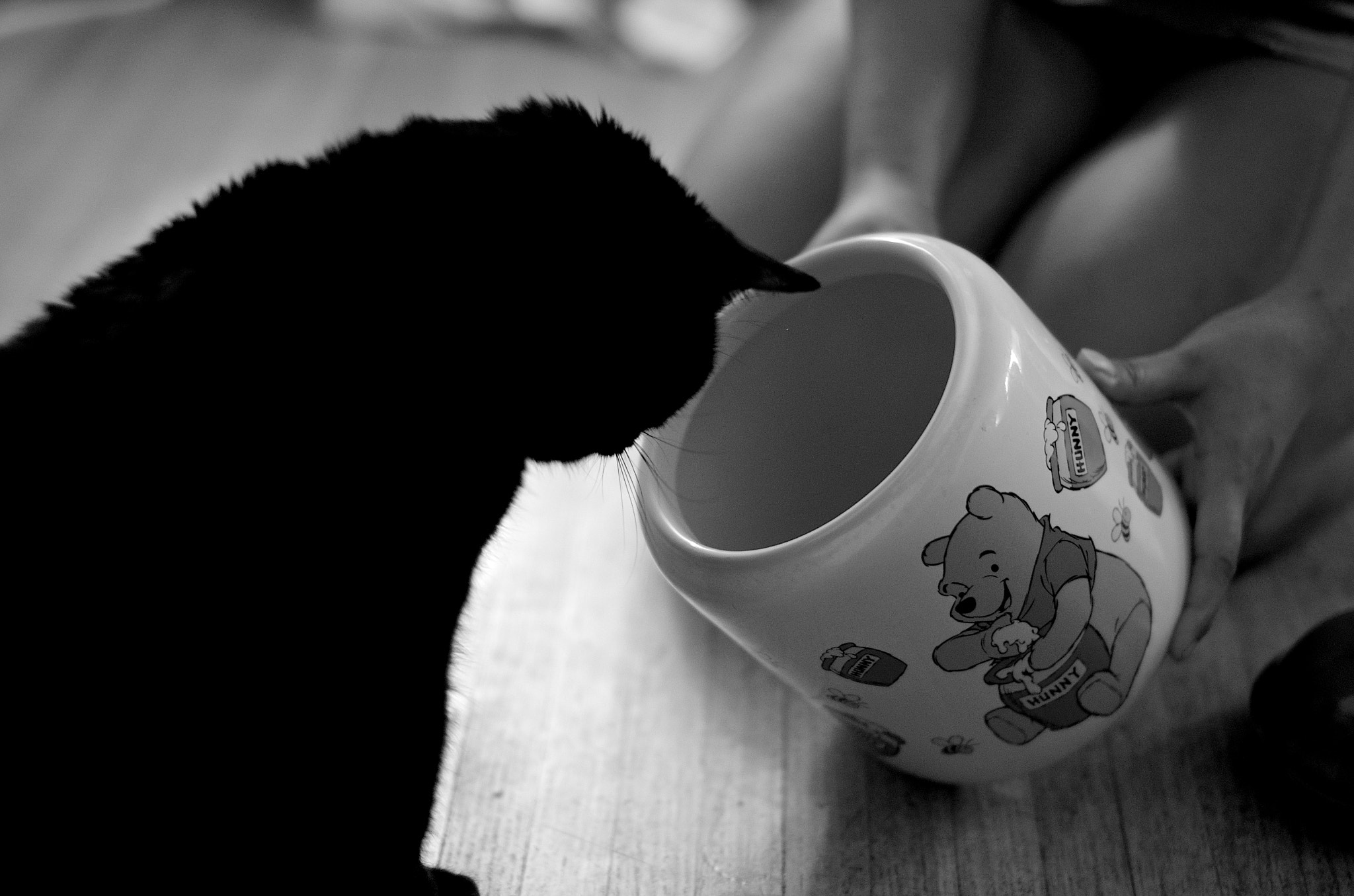 Sigma 50mm F1.4 EX DG HSM sample photo. Oh, bother photography
