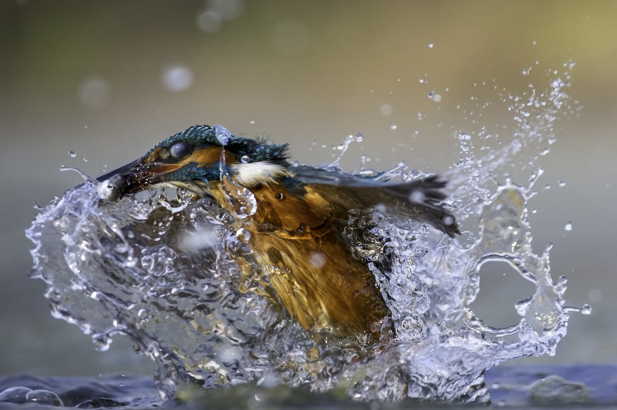 Nikon AF-S Nikkor 70-200mm F4G ED VR sample photo. Fishing time photography
