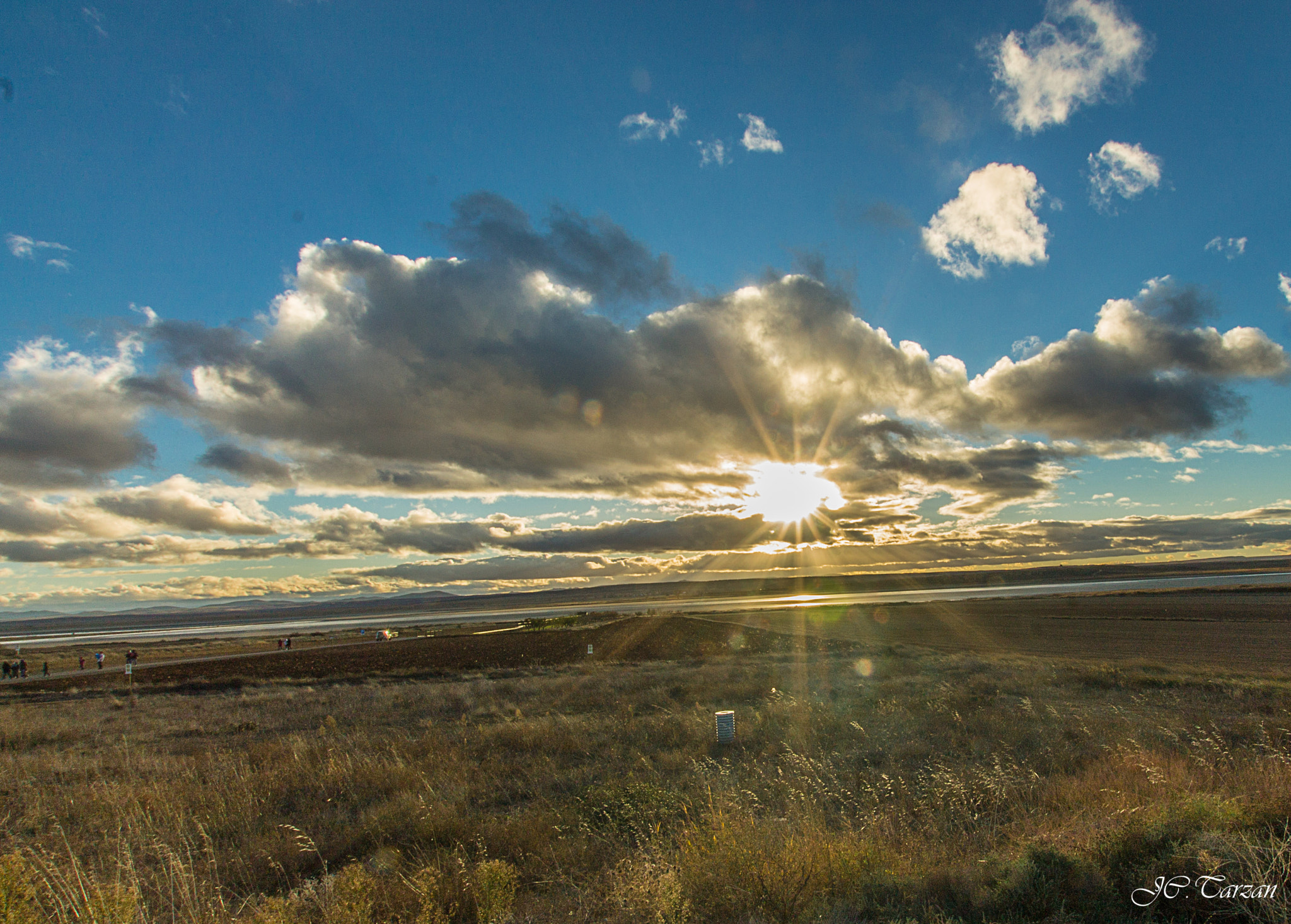 Sigma 10-20mm F3.5 EX DC HSM sample photo. Gallo canta photography
