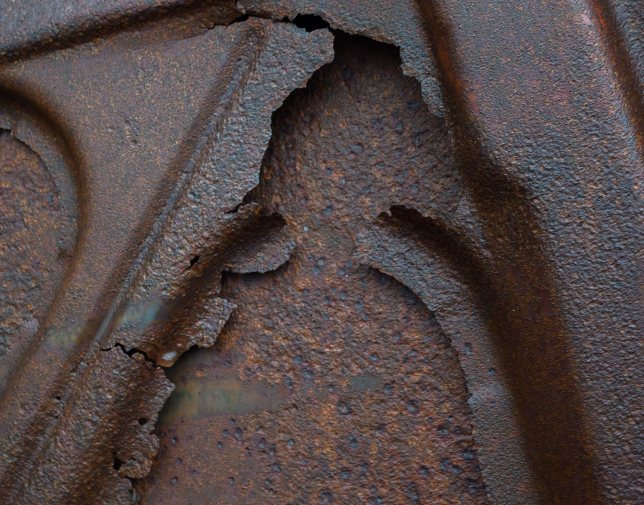 Sony Alpha NEX-7 + Sony E 30mm F3.5 Macro sample photo. Eaten away photography