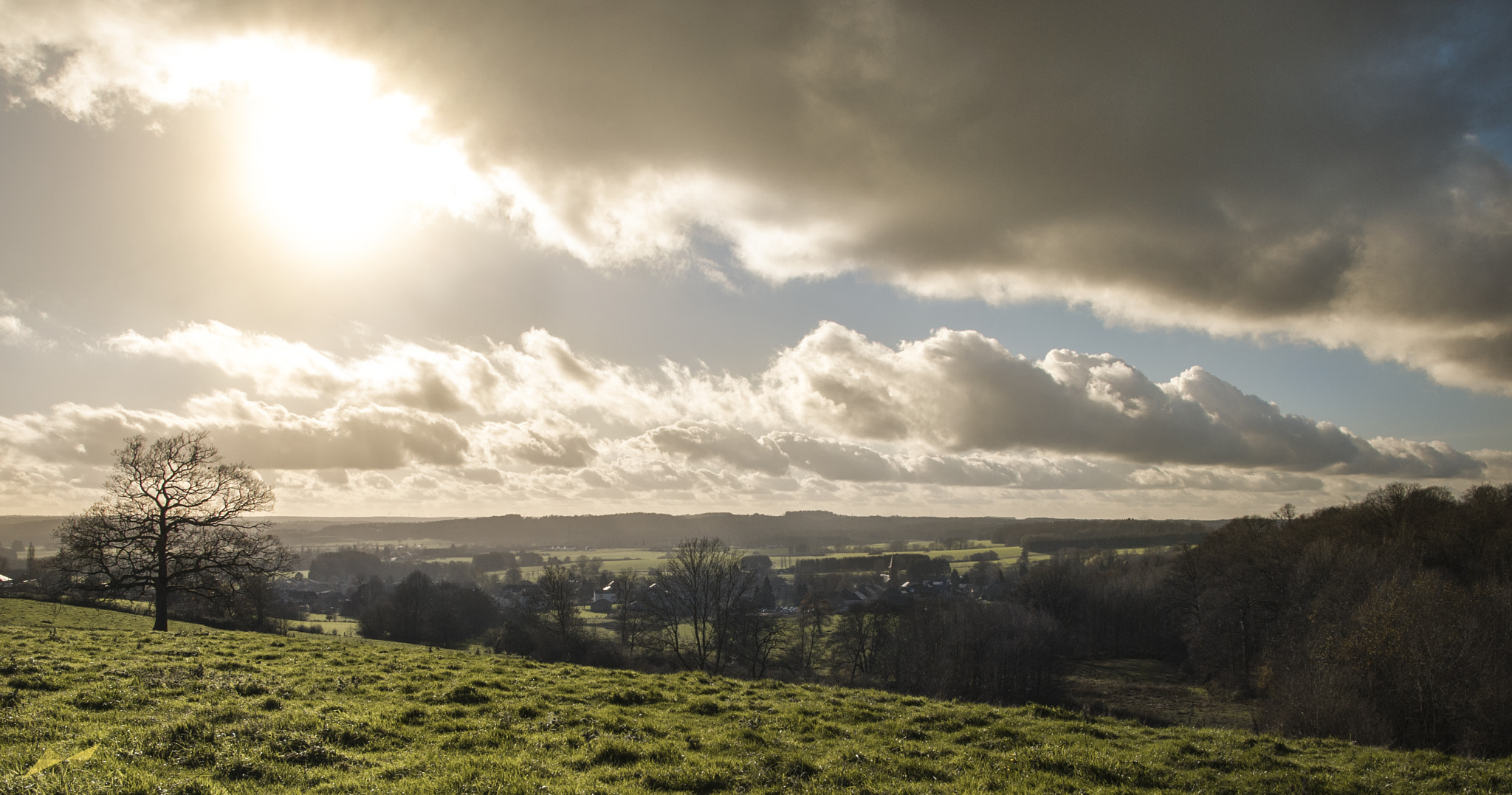 Sigma 17-50mm F2.8 EX DC OS HSM sample photo. Wider than the sky photography