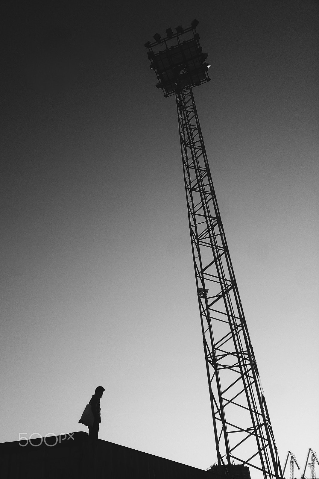 Sony Xperia ZR sample photo. The height of a man photography