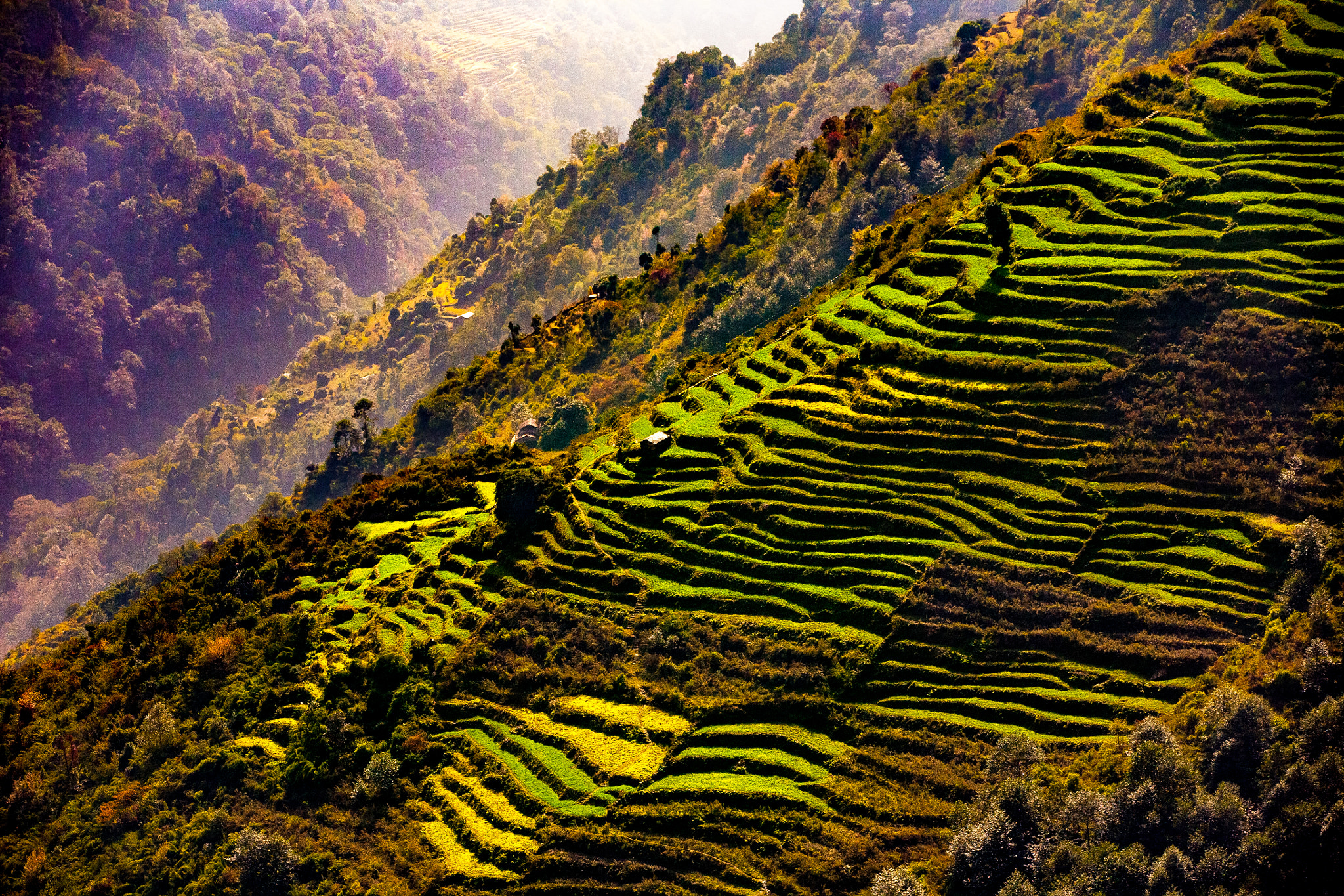 Canon EF 70-200mm F2.8L IS II USM sample photo. Nepali fairytale photography