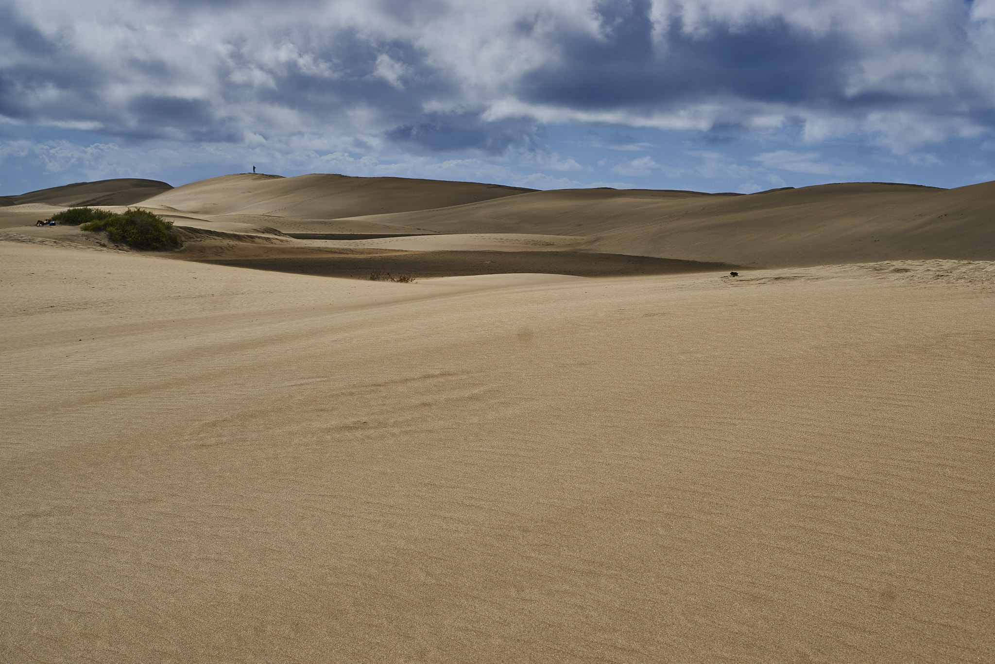 Sony a5100 + Sony E 35mm F1.8 OSS sample photo. Dunas from maspalomas photography