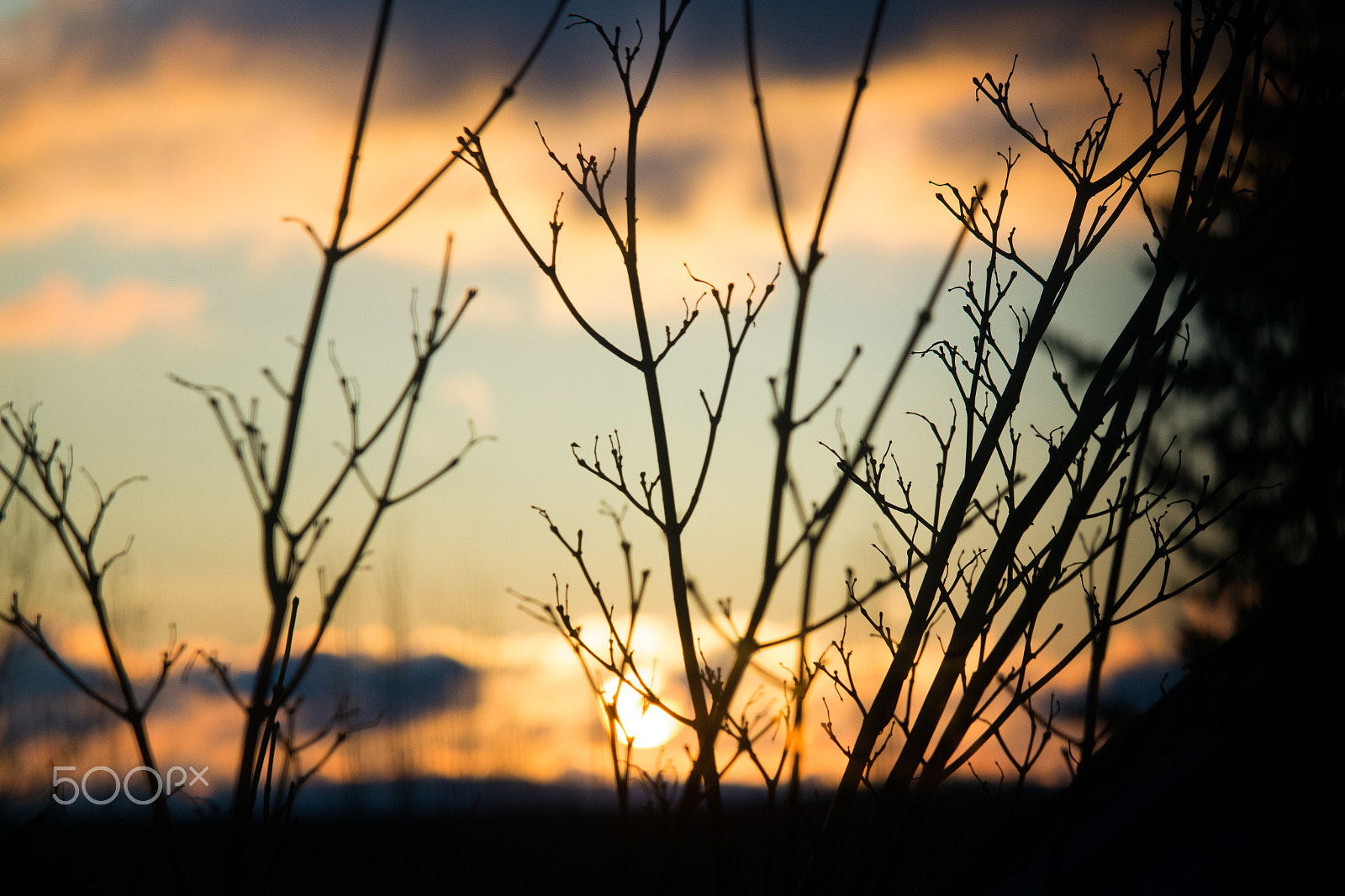 Samsung NX30 + Samsung NX 50-200mm F4-5.6 ED OIS sample photo. Winter morning photography