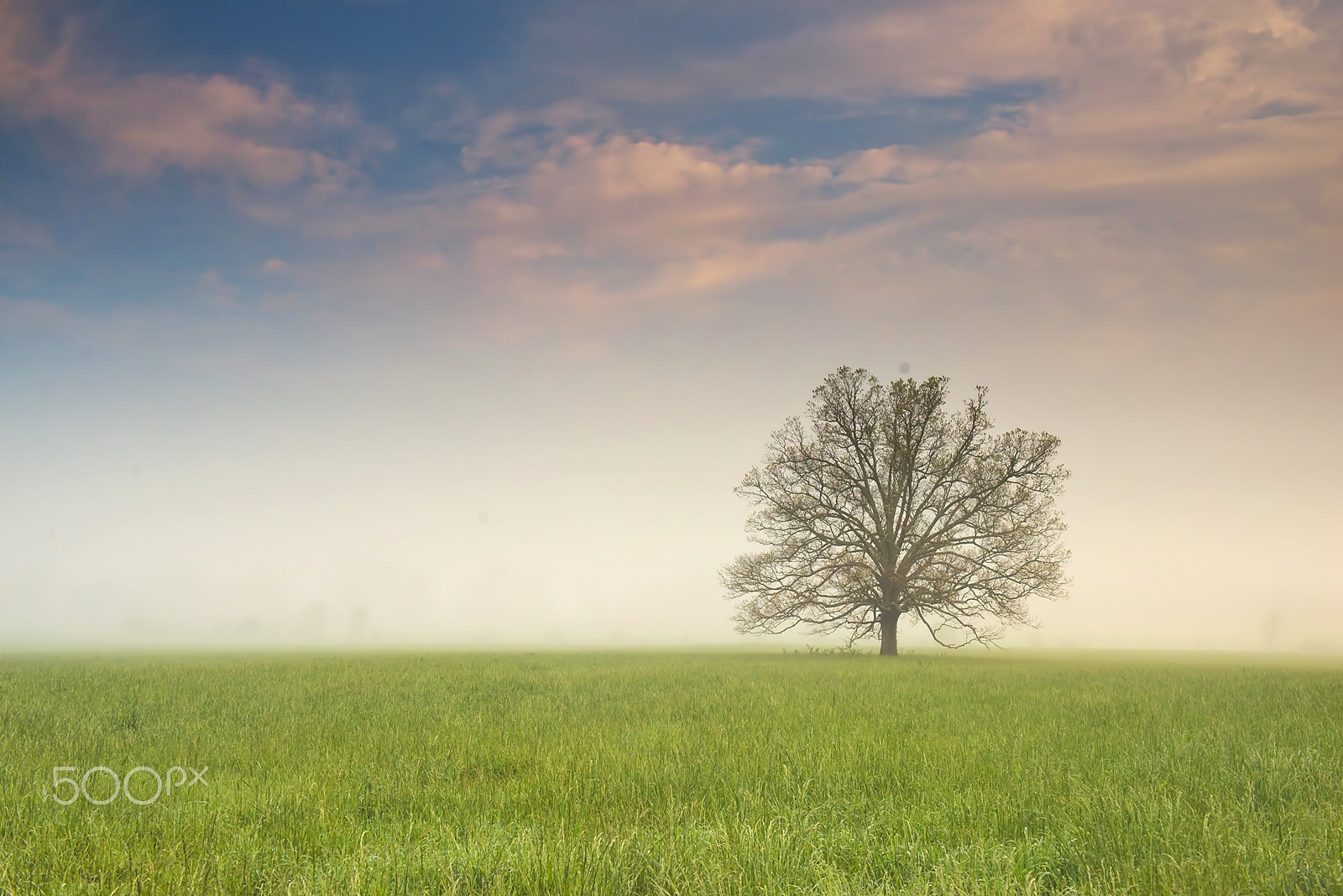 Nikon D600 + AF Zoom-Nikkor 35-105mm f/3.5-4.5D sample photo. Another smoky morning photography