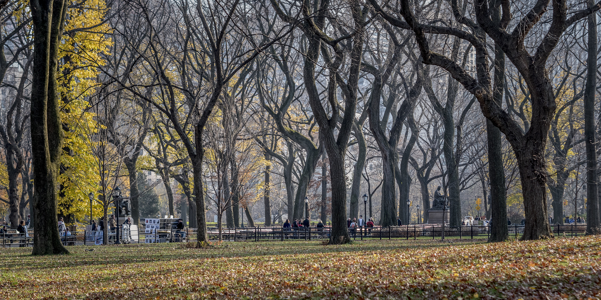 Panasonic Lumix DMC-GH4 + Olympus M.Zuiko Digital 45mm F1.8 sample photo. Central park in the winter photography