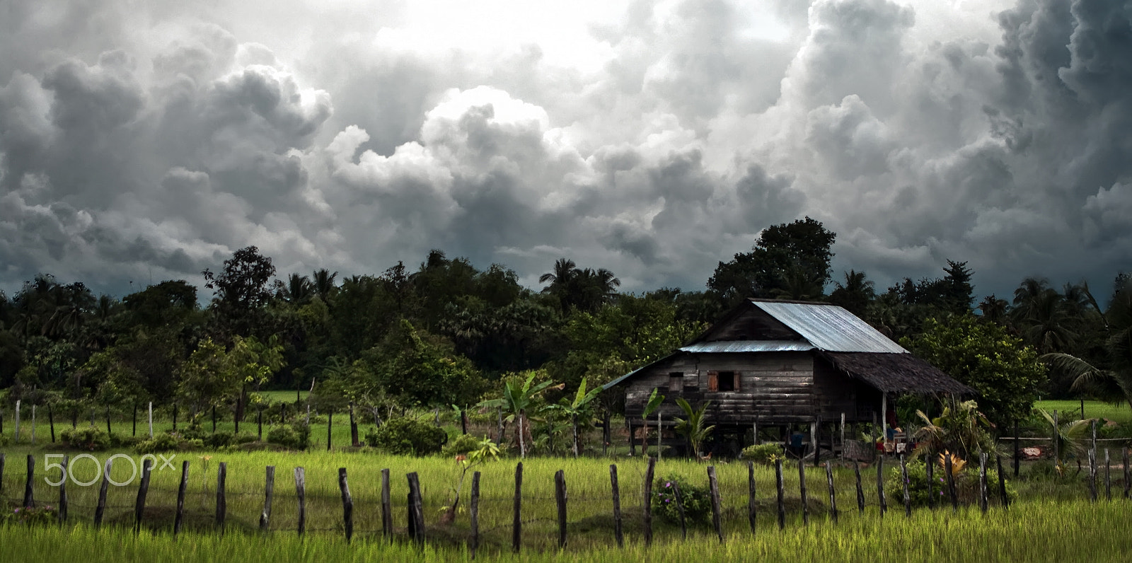 Pentax K20D + Pentax smc DA 16-45mm F4 ED AL sample photo. Rural cambodia photography