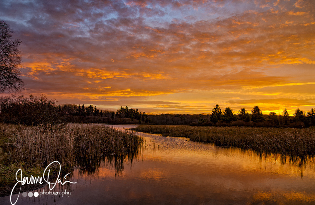 Sigma 24-105mm f/4 DG OS HSM | A sample photo. Mendon ponds sunrise ii photography
