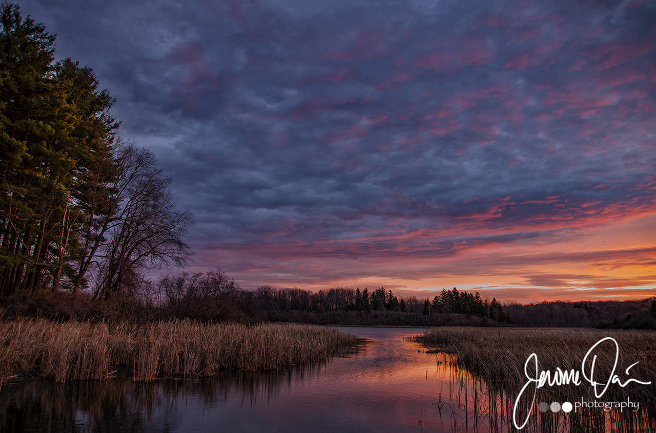 Sigma 24-105mm f/4 DG OS HSM | A sample photo. Mendon ponds sunrise i photography