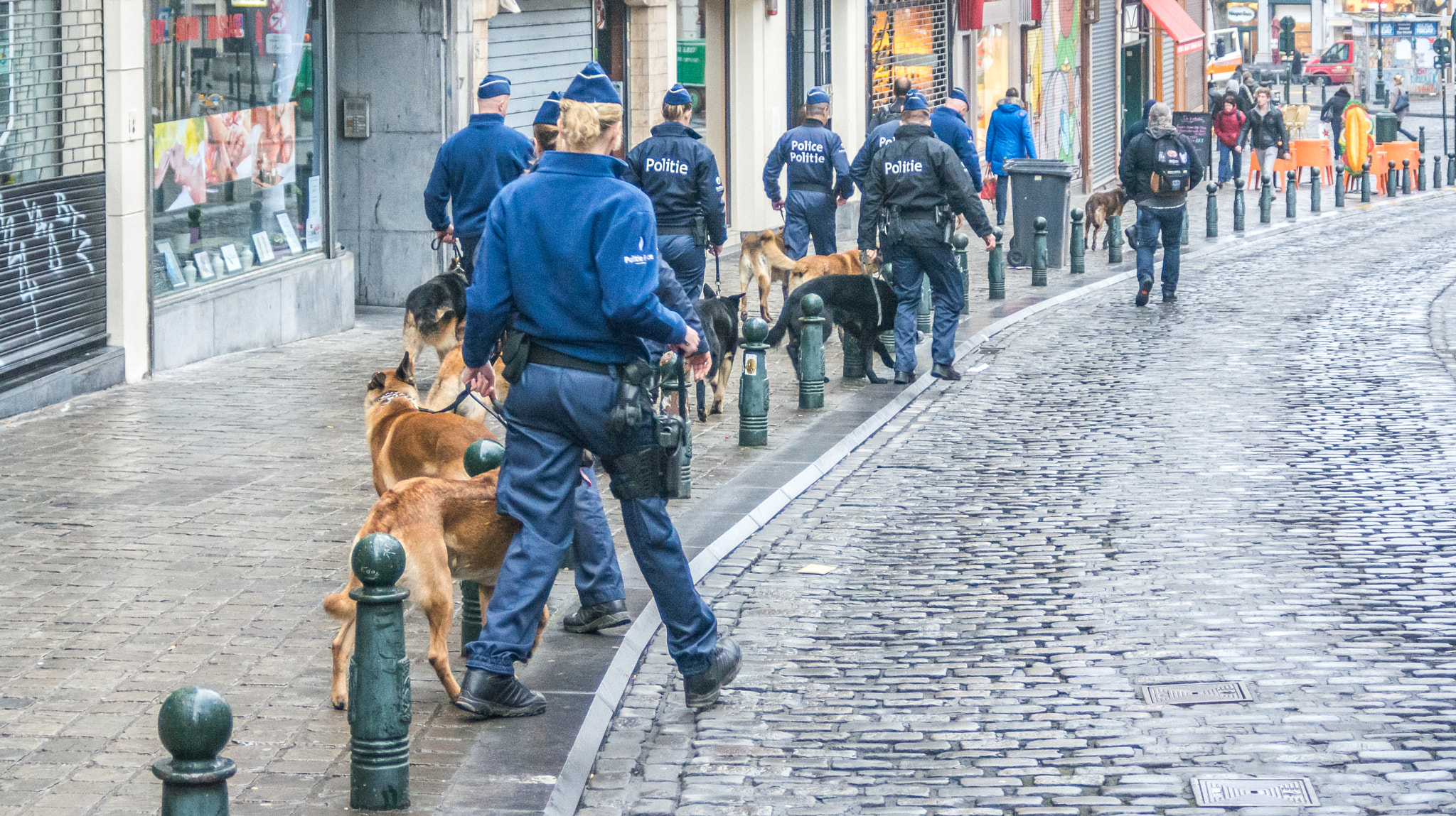 AF Zoom-Nikkor 28-80mm f/3.3-5.6G sample photo. Trained police dogs on duty photography