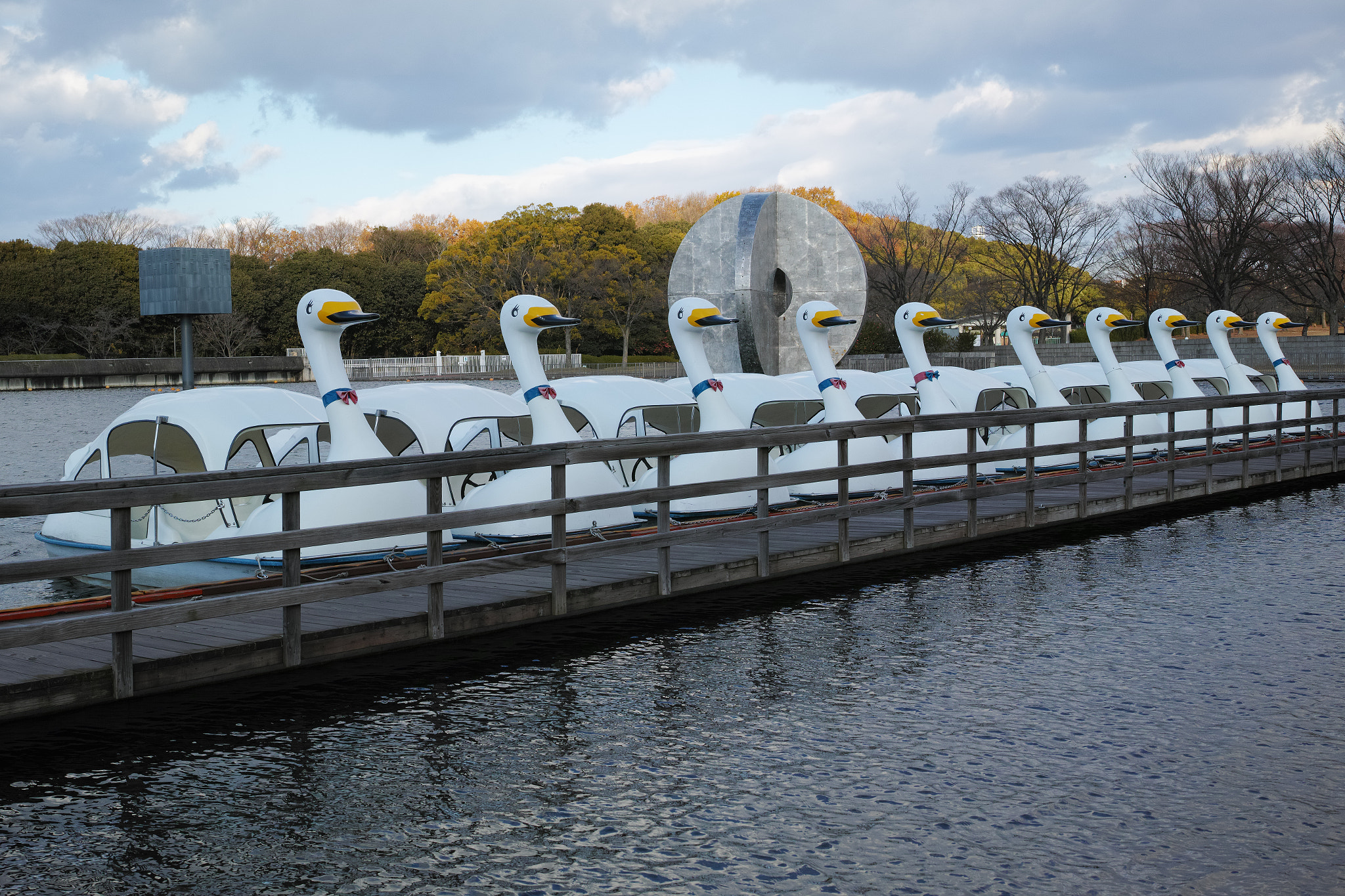 1007 sample photo. Bird watching photography