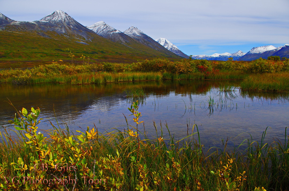 Pentax smc DA 18-55mm F3.5-5.6 AL WR sample photo. Yukon gold photography