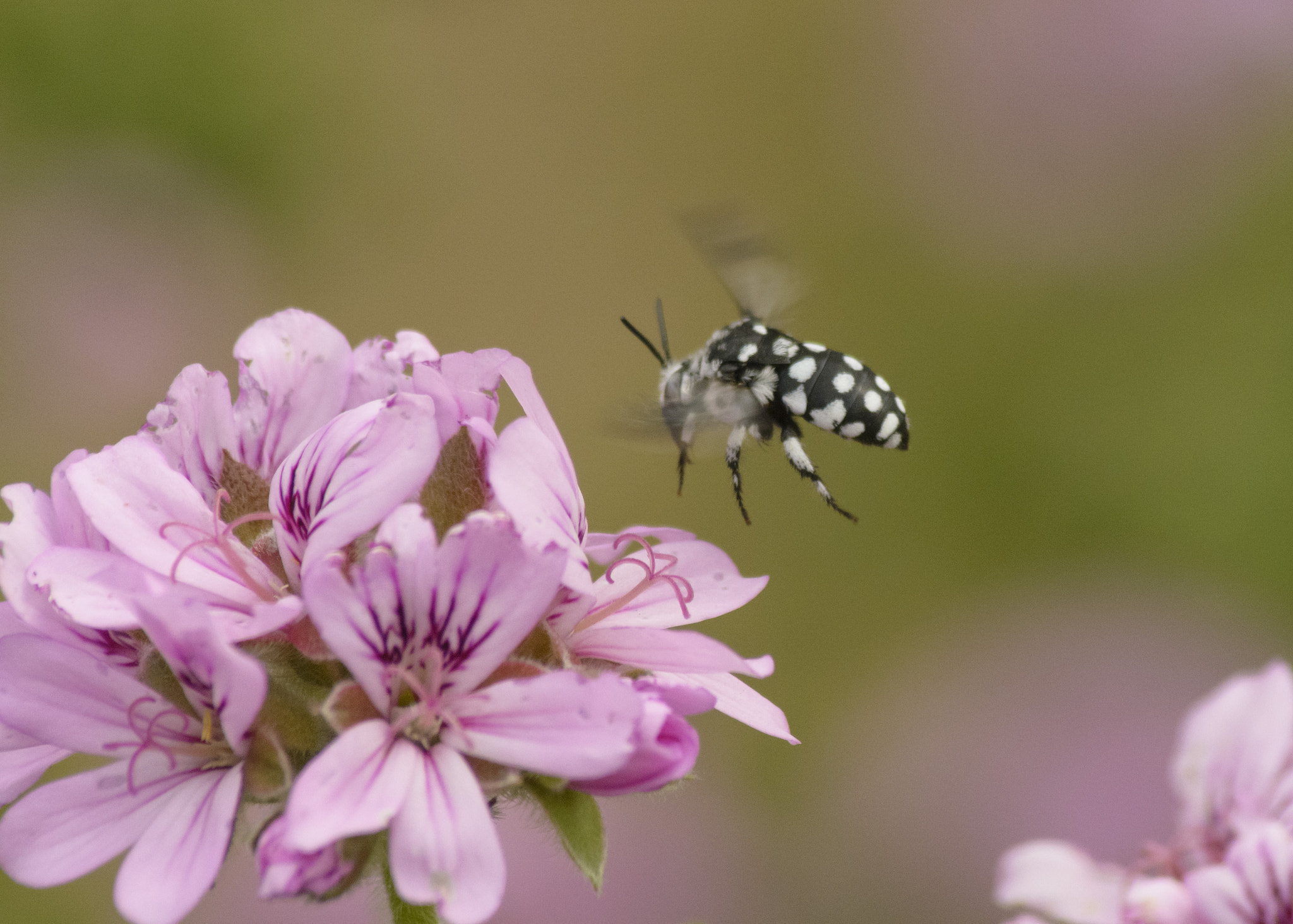 v2?sig=b41f5e0c792e4e333aa7d5a7ab0e75688