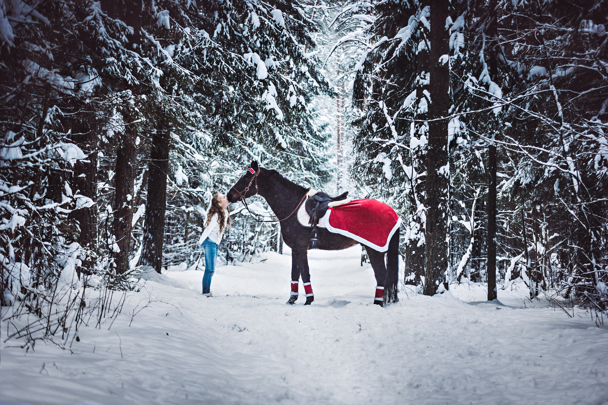 50-150mm F2.8 sample photo. Snow forest 01 photography