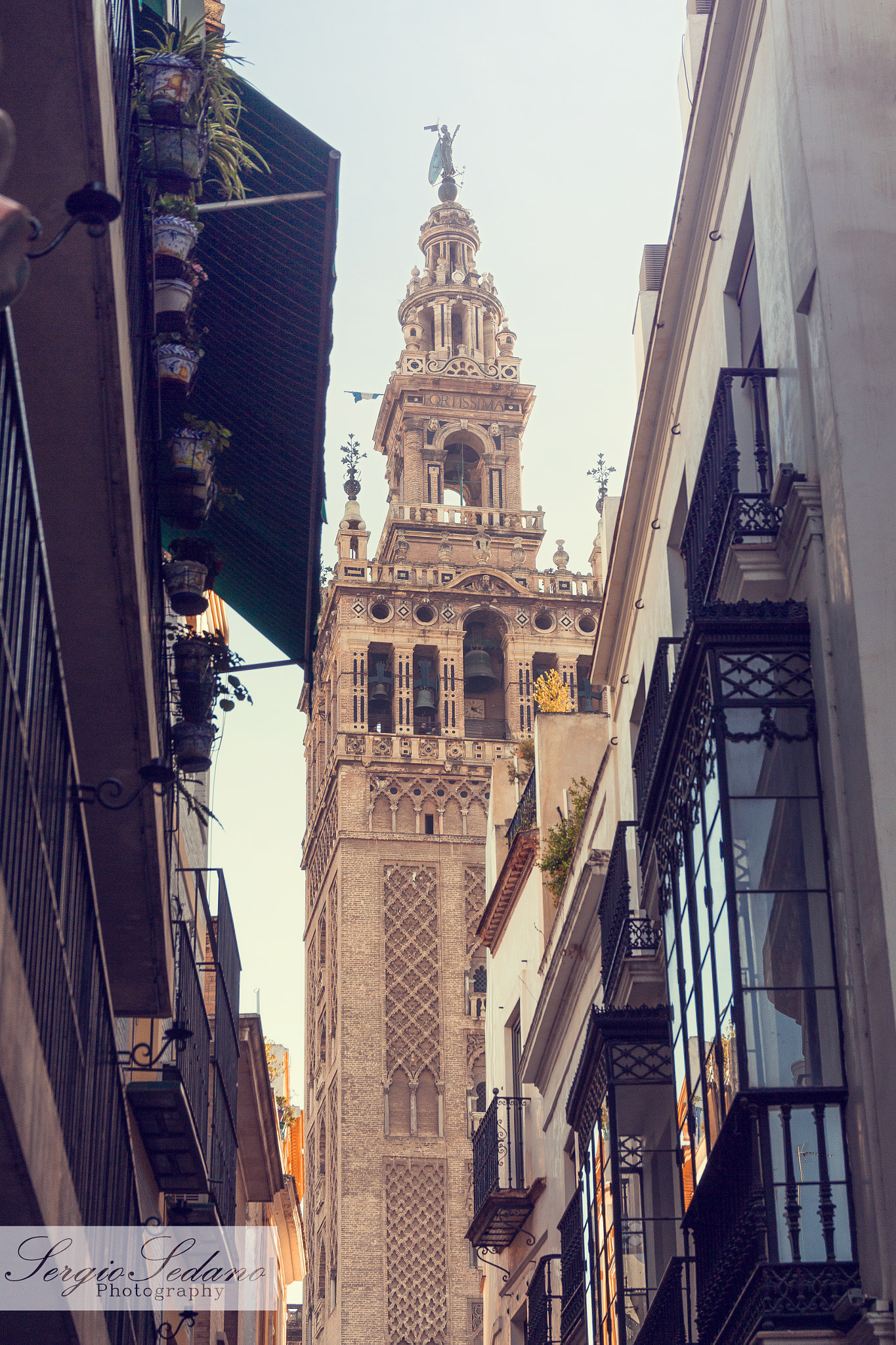 Sigma 24-105mm f/4 DG OS HSM | A sample photo. Giralda tower photography