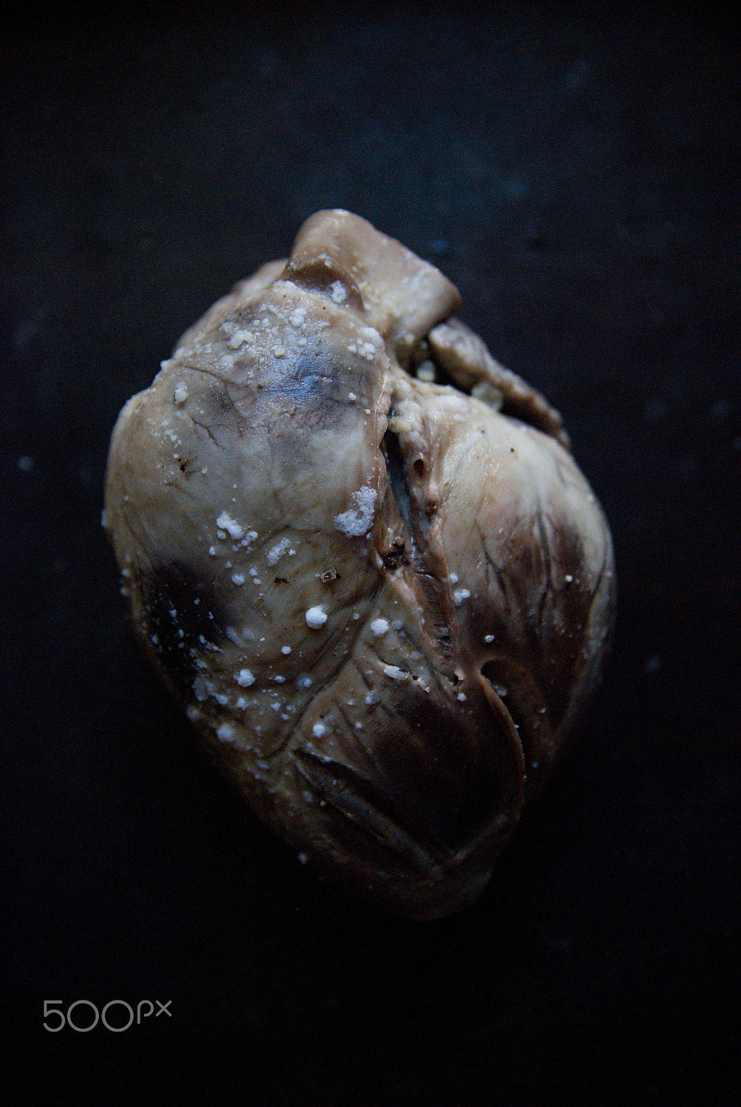 Nikon D60 sample photo. Heart.Сердце. photography