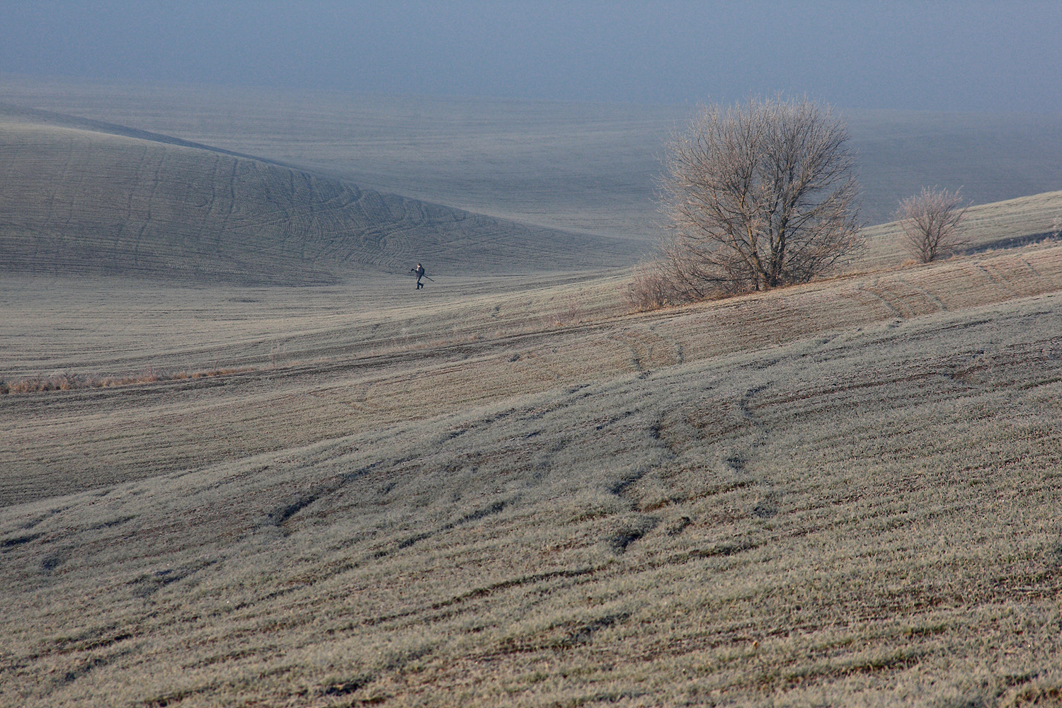 Canon EF 70-210mm f/4 sample photo. Line frosty morning photography