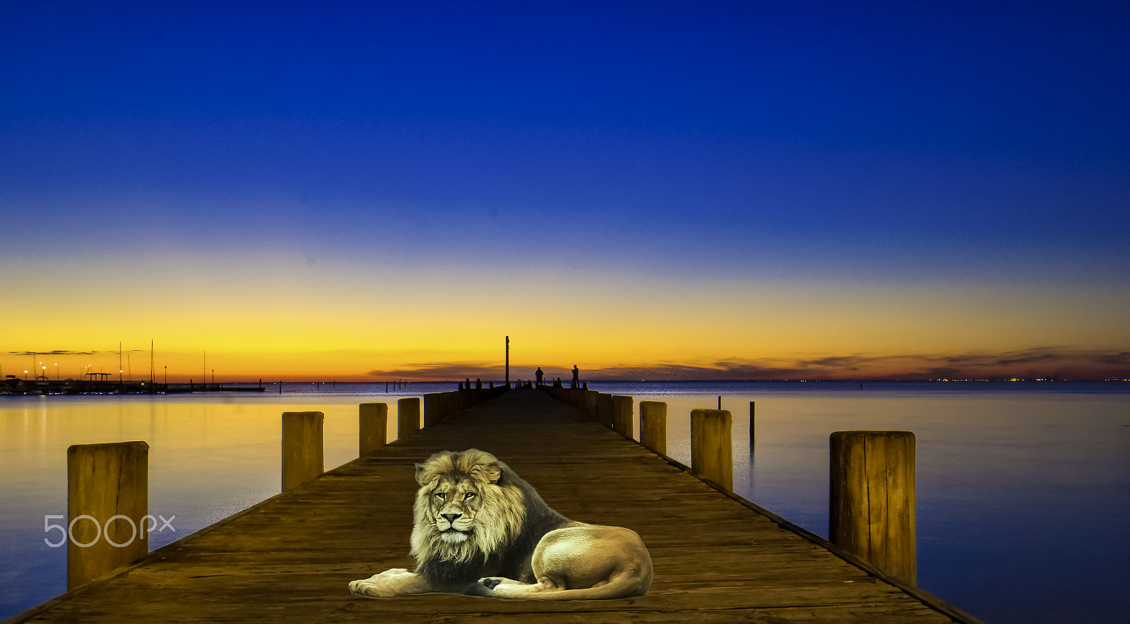 Samsung NX300 + Samsung NX 20-50mm F3.5-5.6 ED sample photo. Lion + pier photography