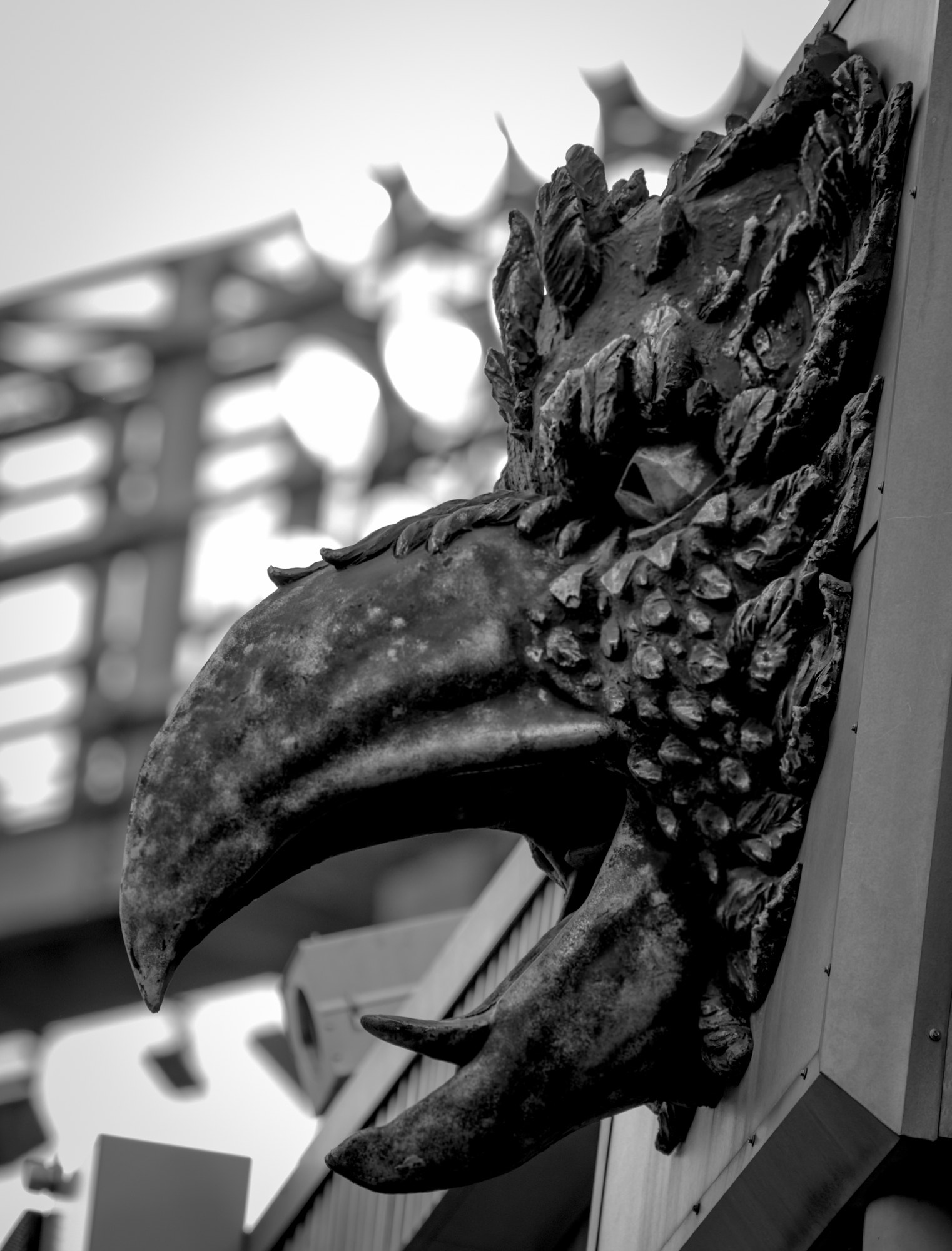Canon EF 100-400mm F4.5-5.6L IS USM sample photo. Raven statue photography