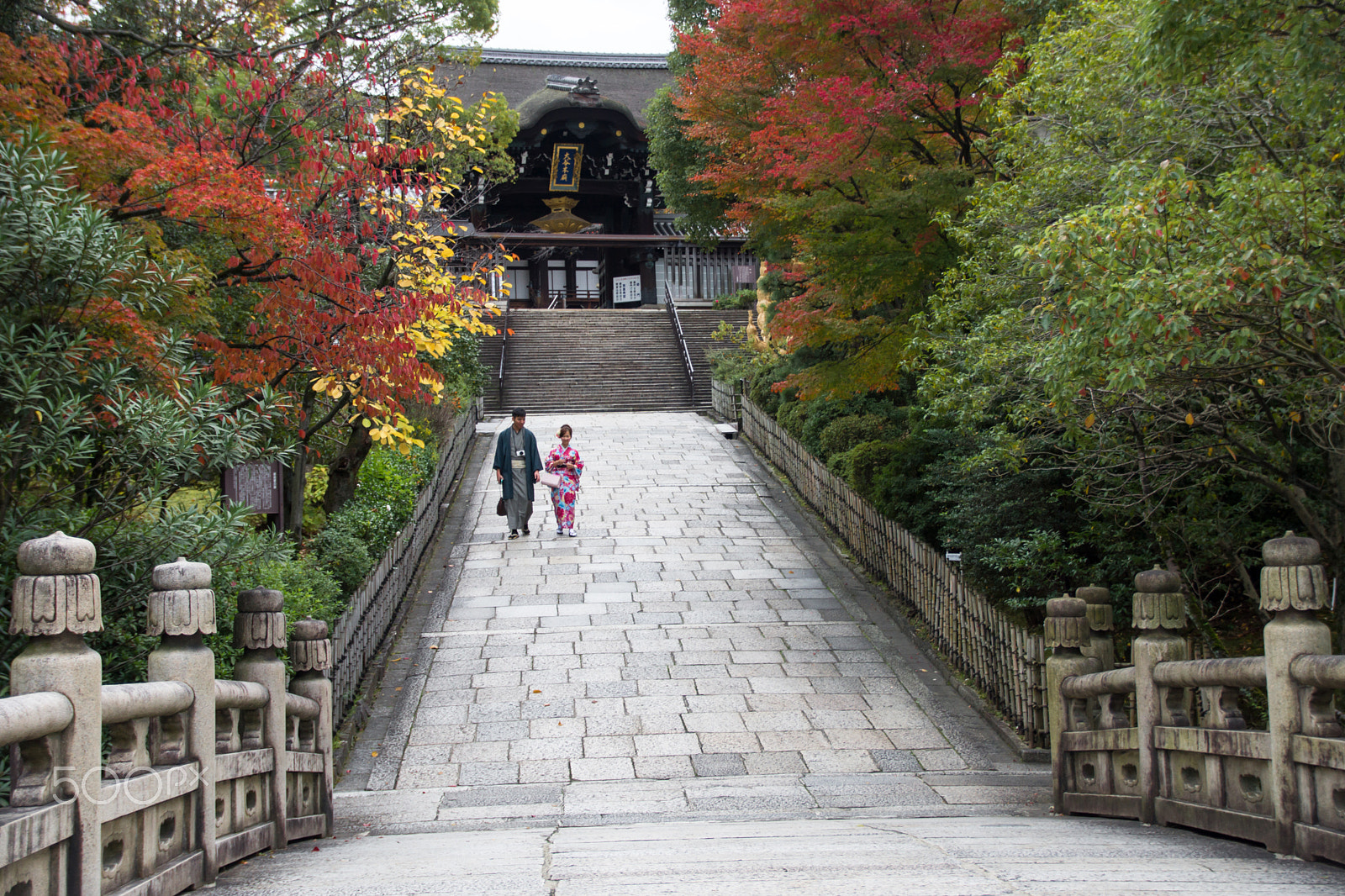 Sony SLT-A65 (SLT-A65V) + Tamron AF 28-105mm F4-5.6 [IF] sample photo. Otani-hombyo photography