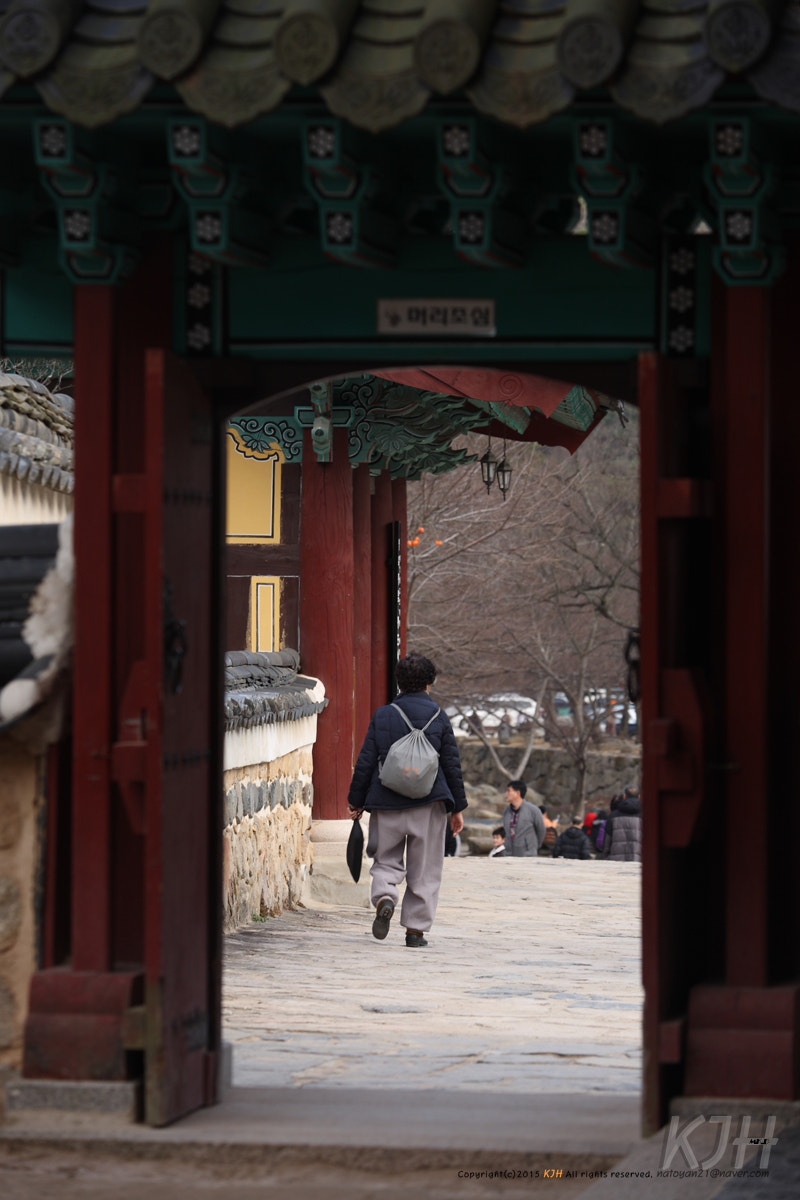 Canon EF 80-200mm f/2.8L sample photo
