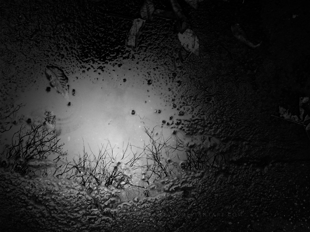 Canon POWERSHOT A430 sample photo. Encroachment photography